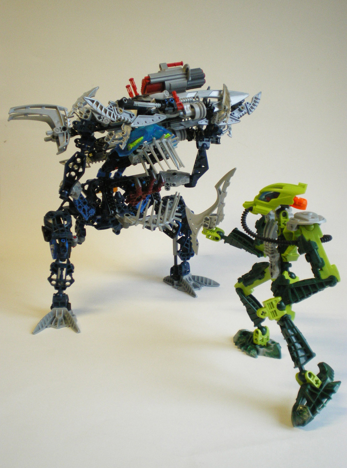 imgp6138.jpg