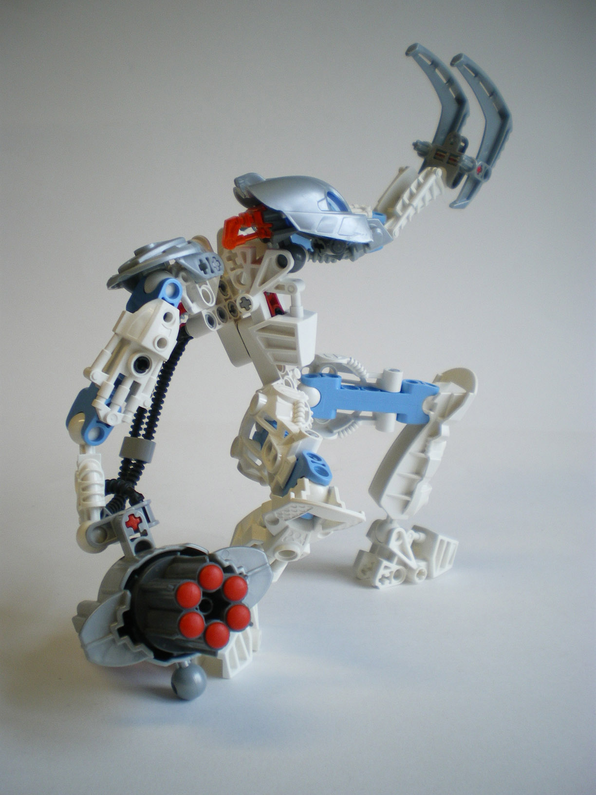 imgp5784.jpg