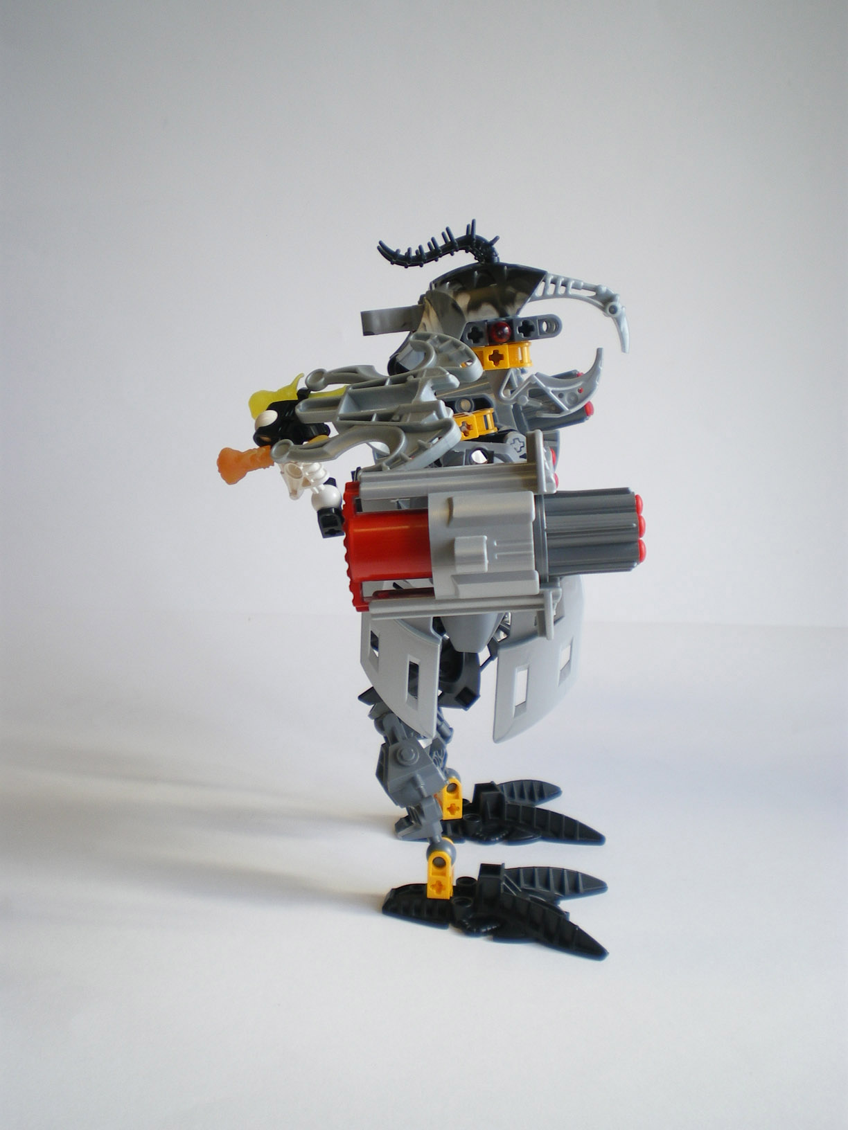 imgp9365.jpg