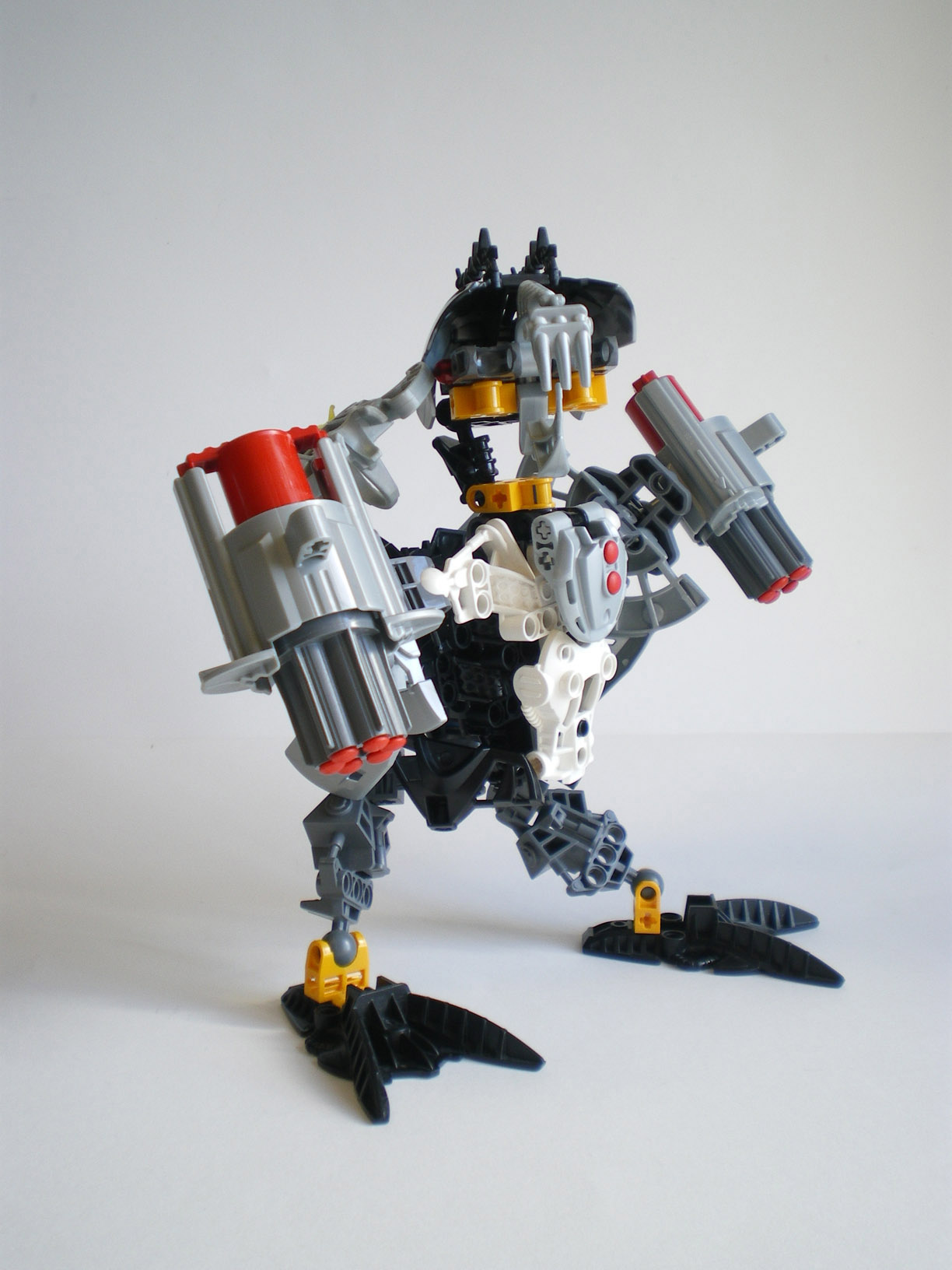 imgp9377.jpg