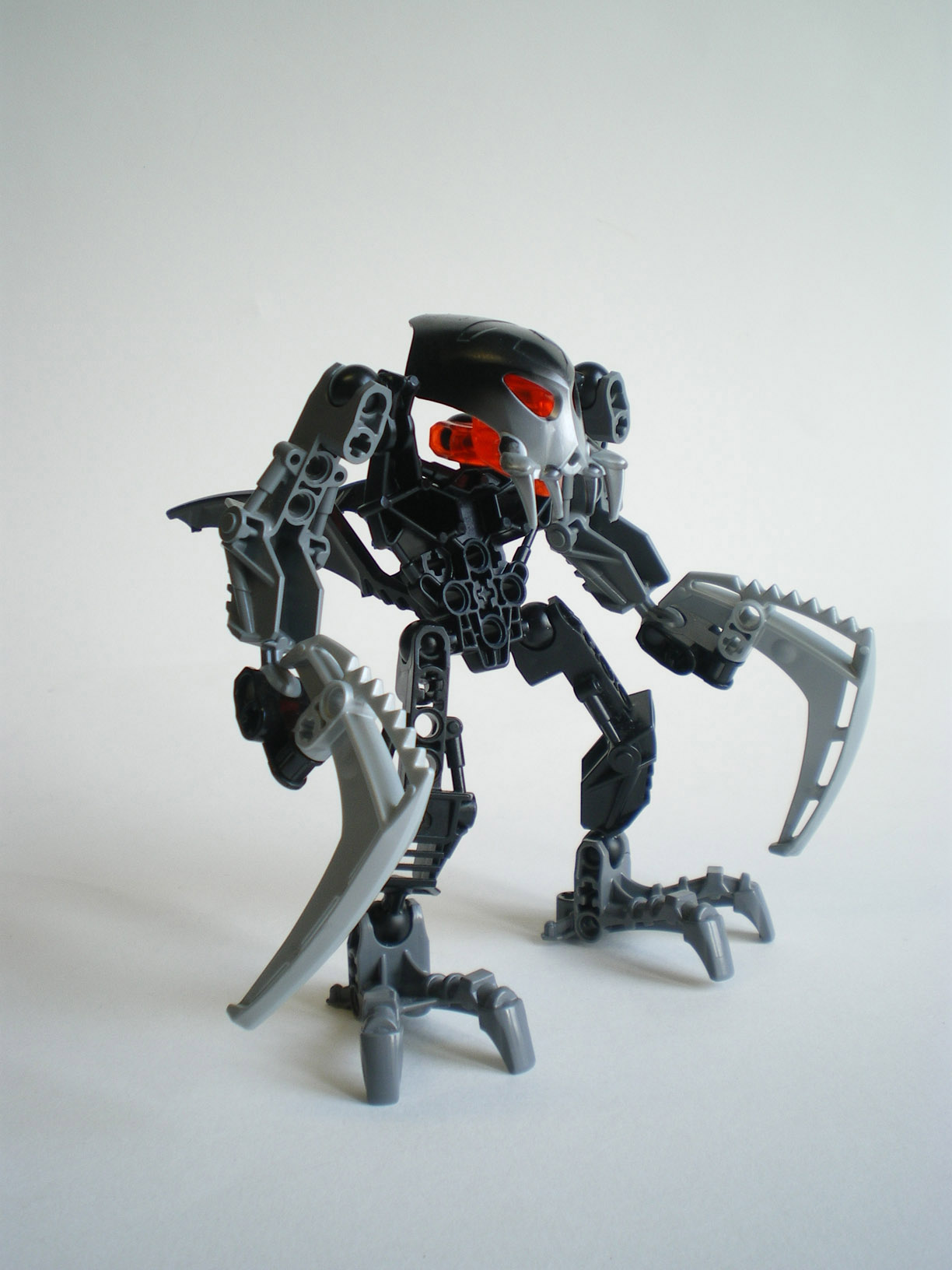 imgp6432.jpg