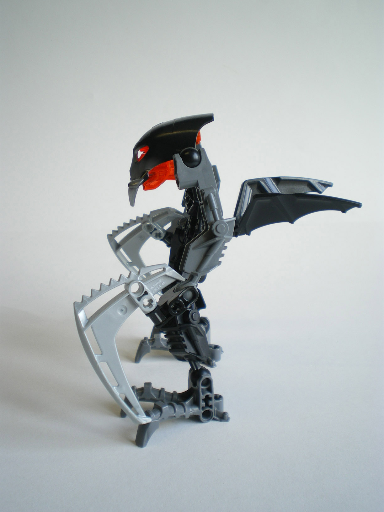 imgp6437.jpg