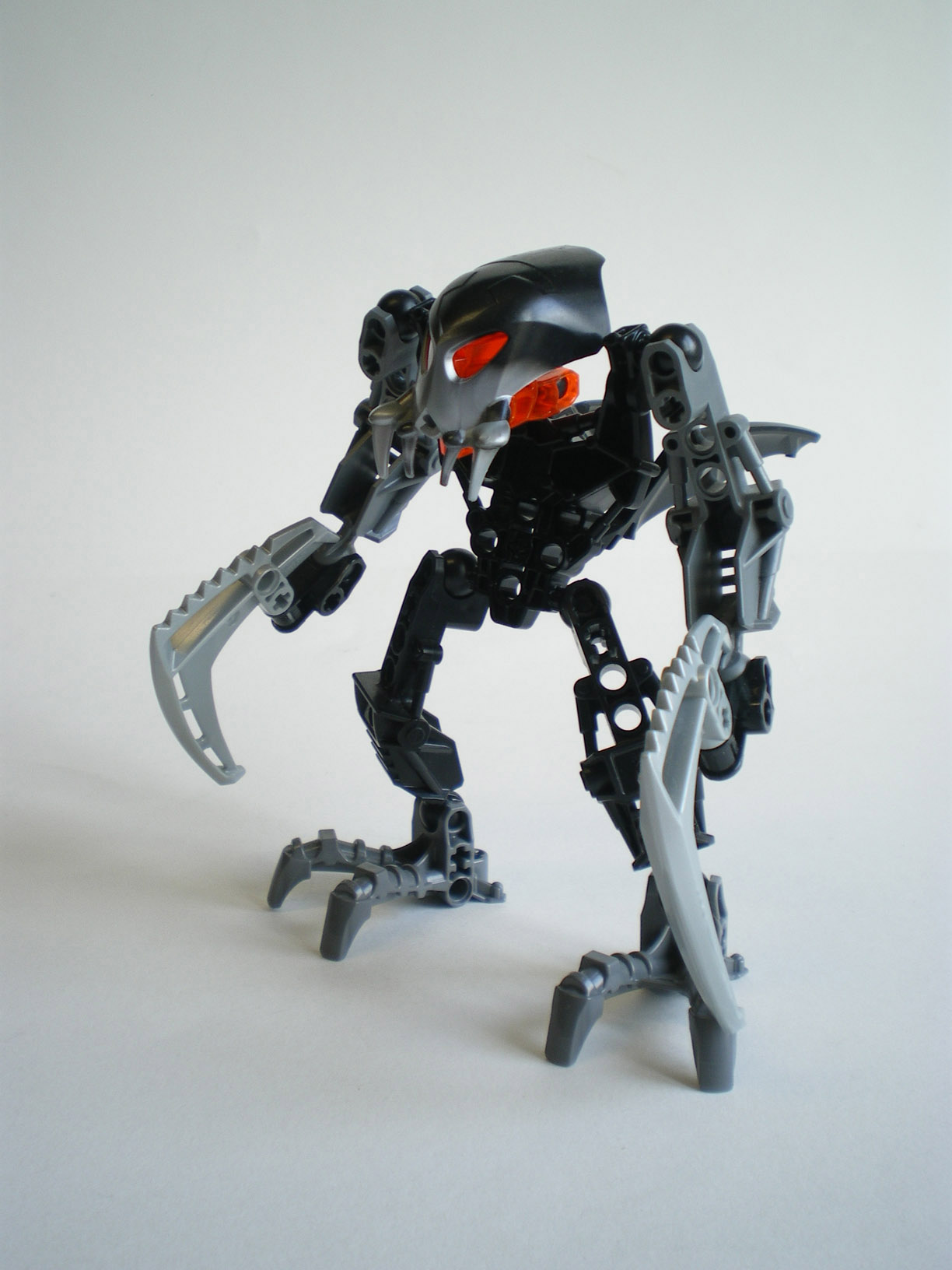 imgp6438.jpg