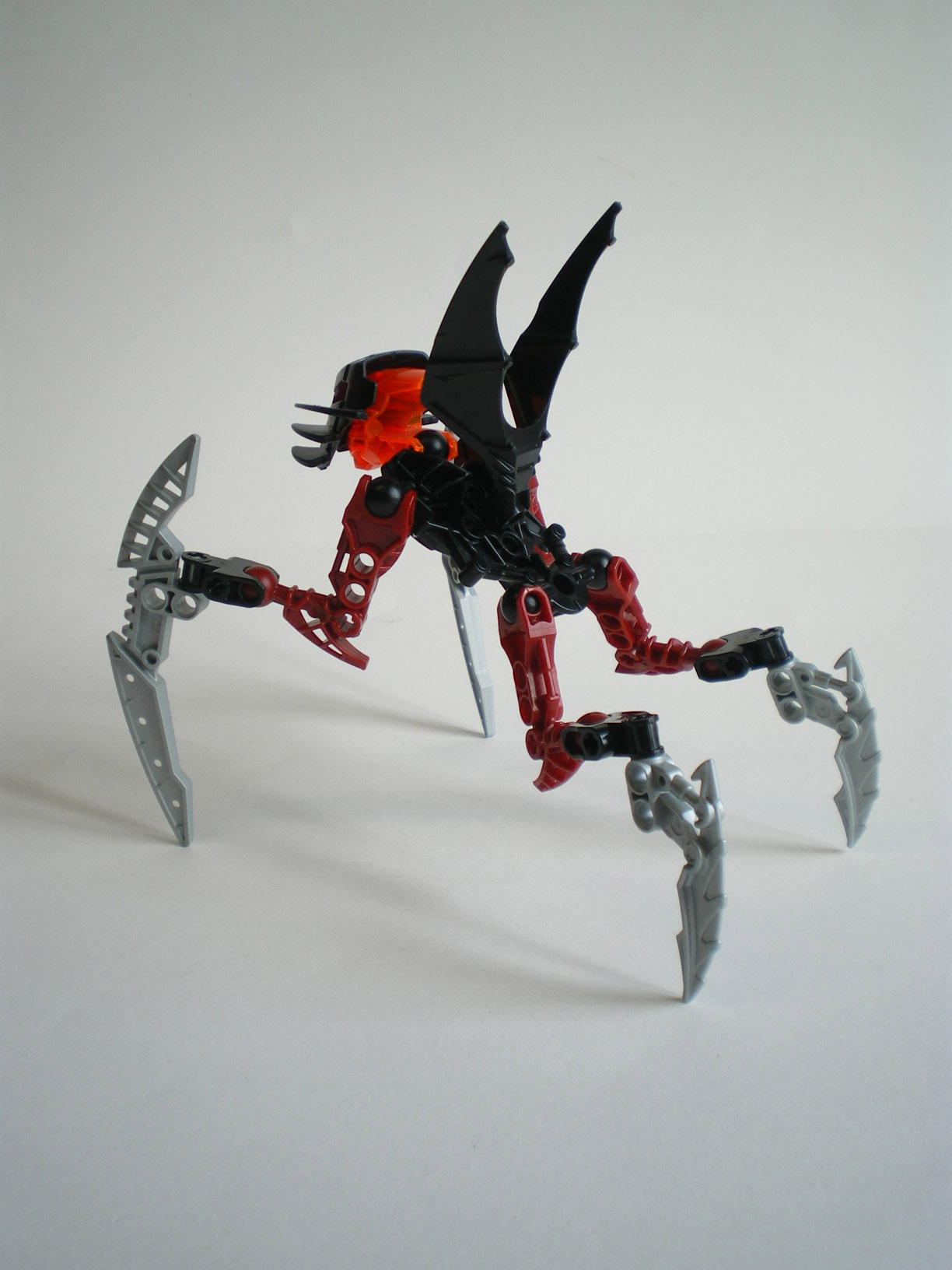 imgp6415.jpg