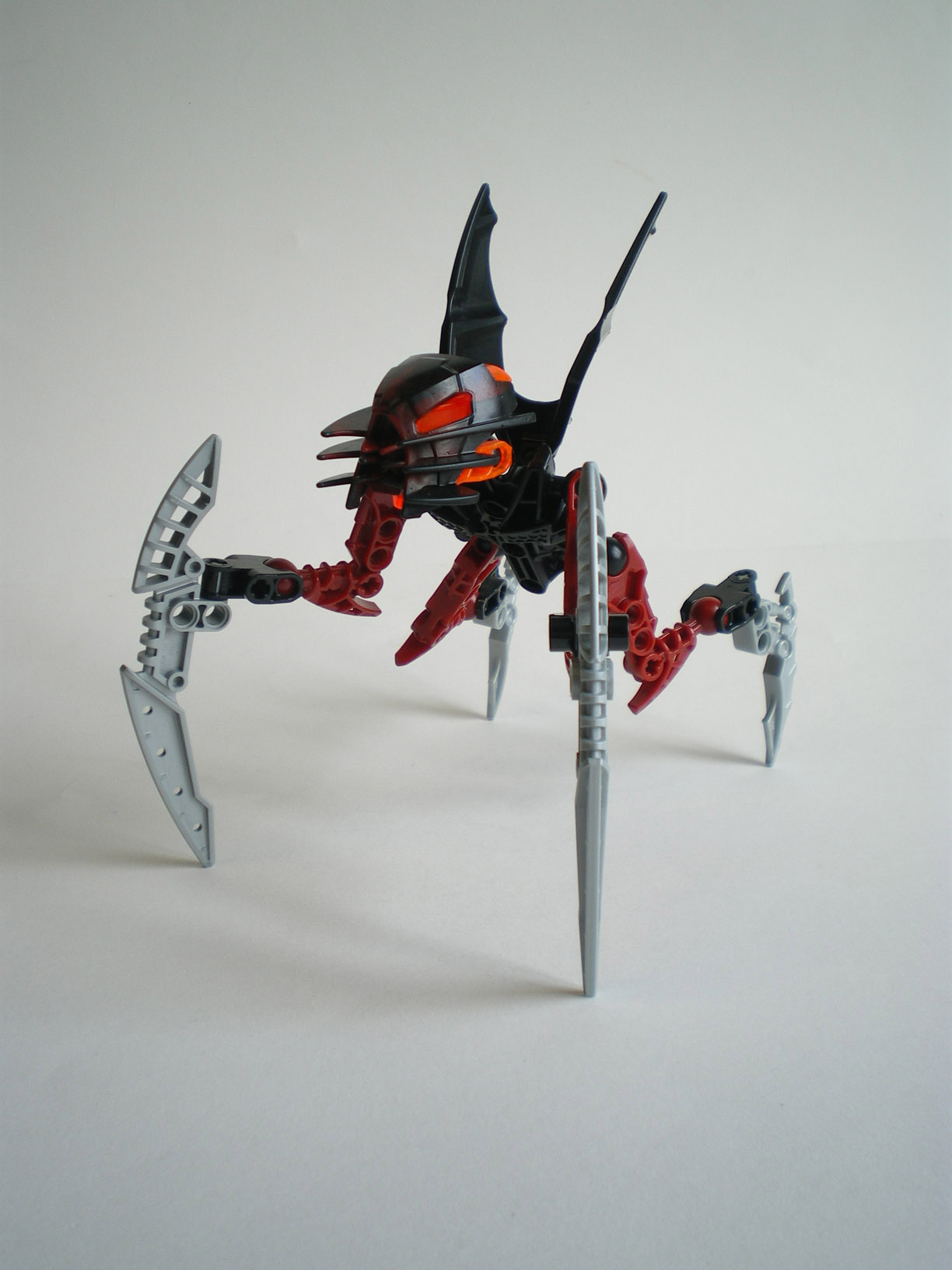 imgp6417.jpg