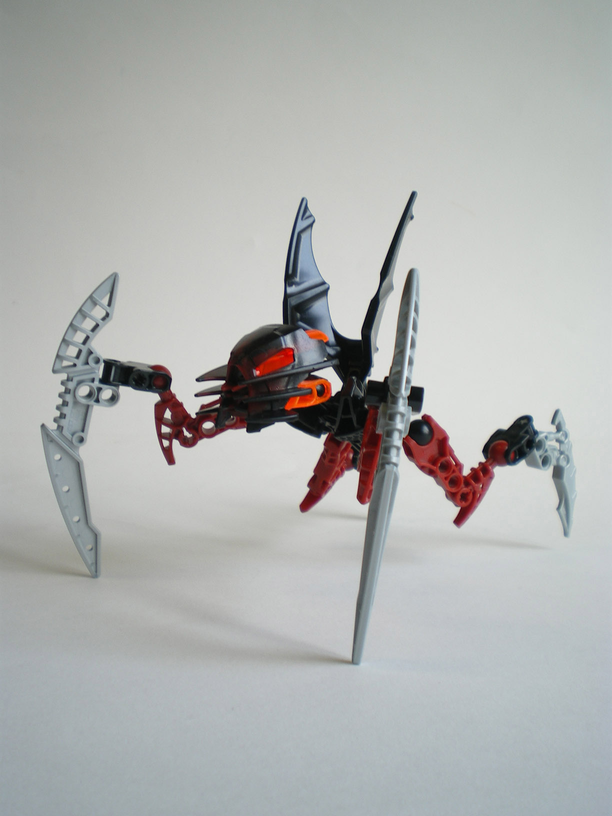 imgp6420.jpg