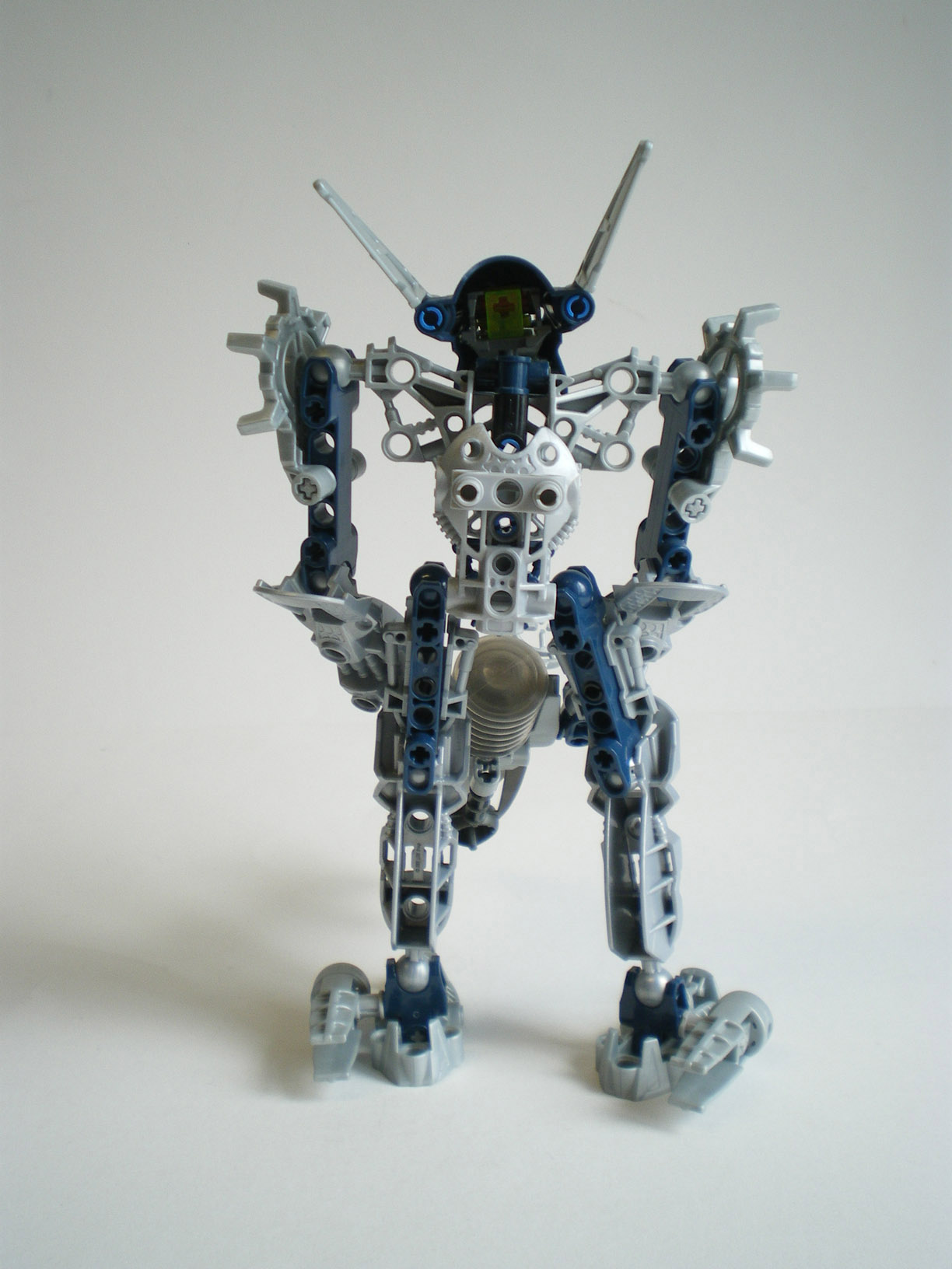 imgp6497.jpg