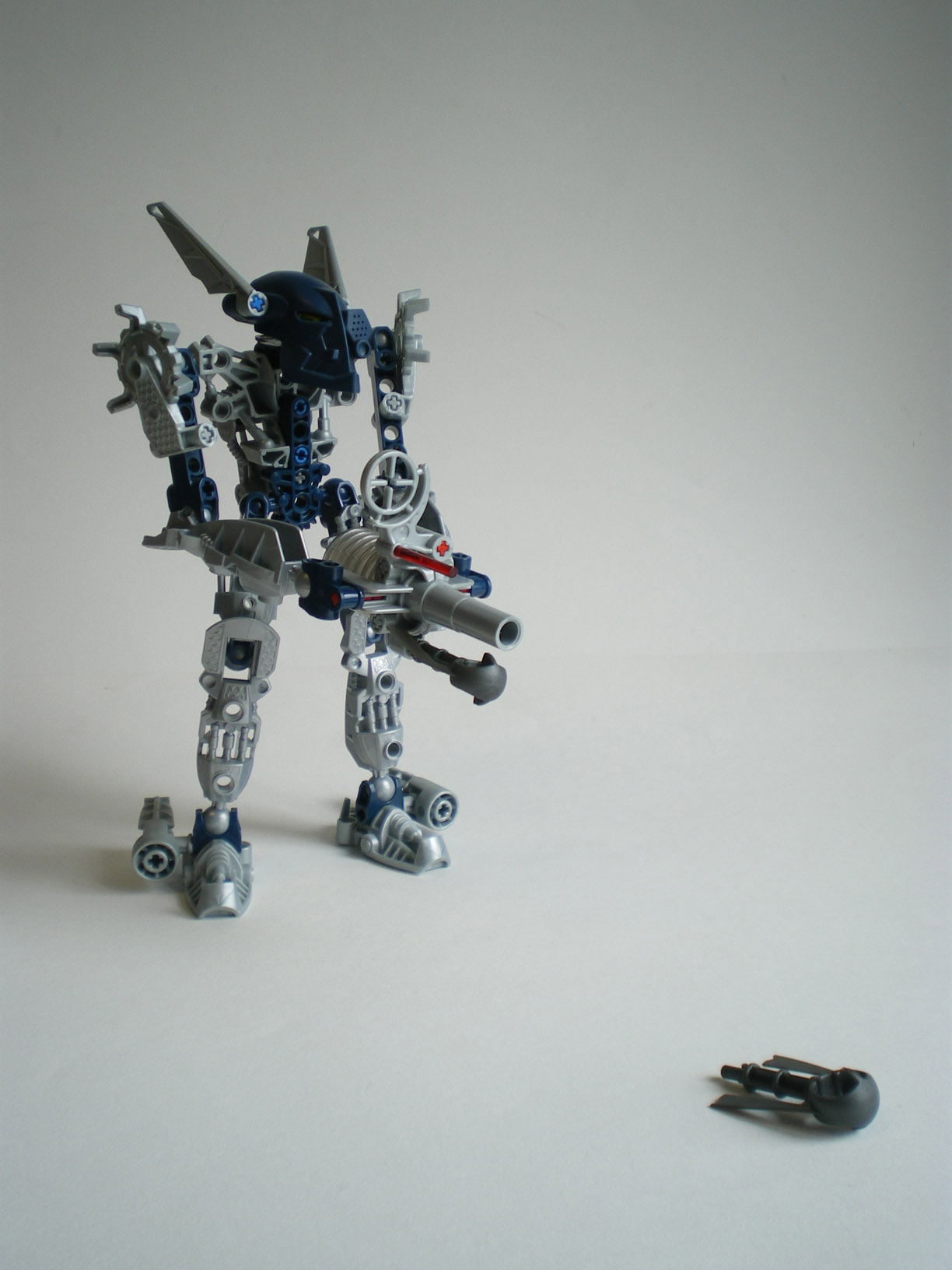 imgp6504.jpg