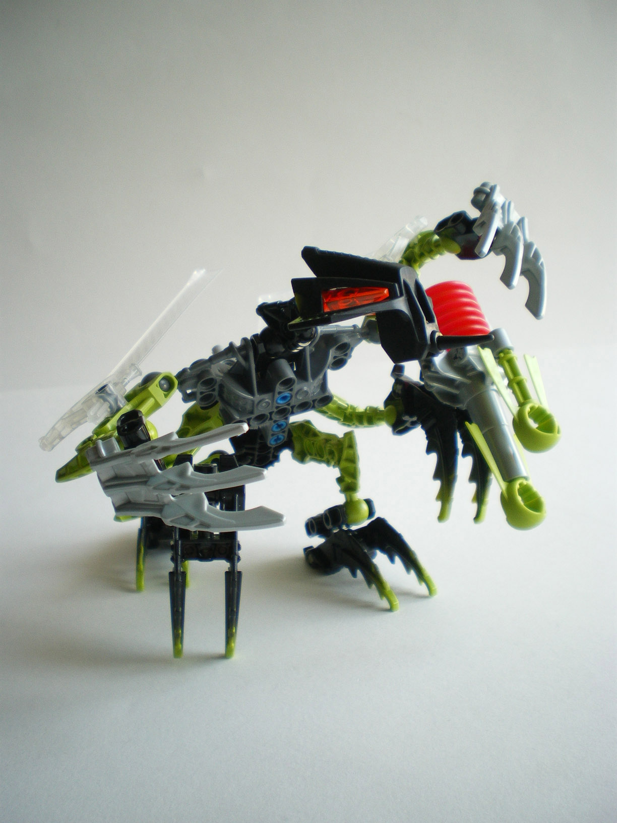 imgp3555.jpg