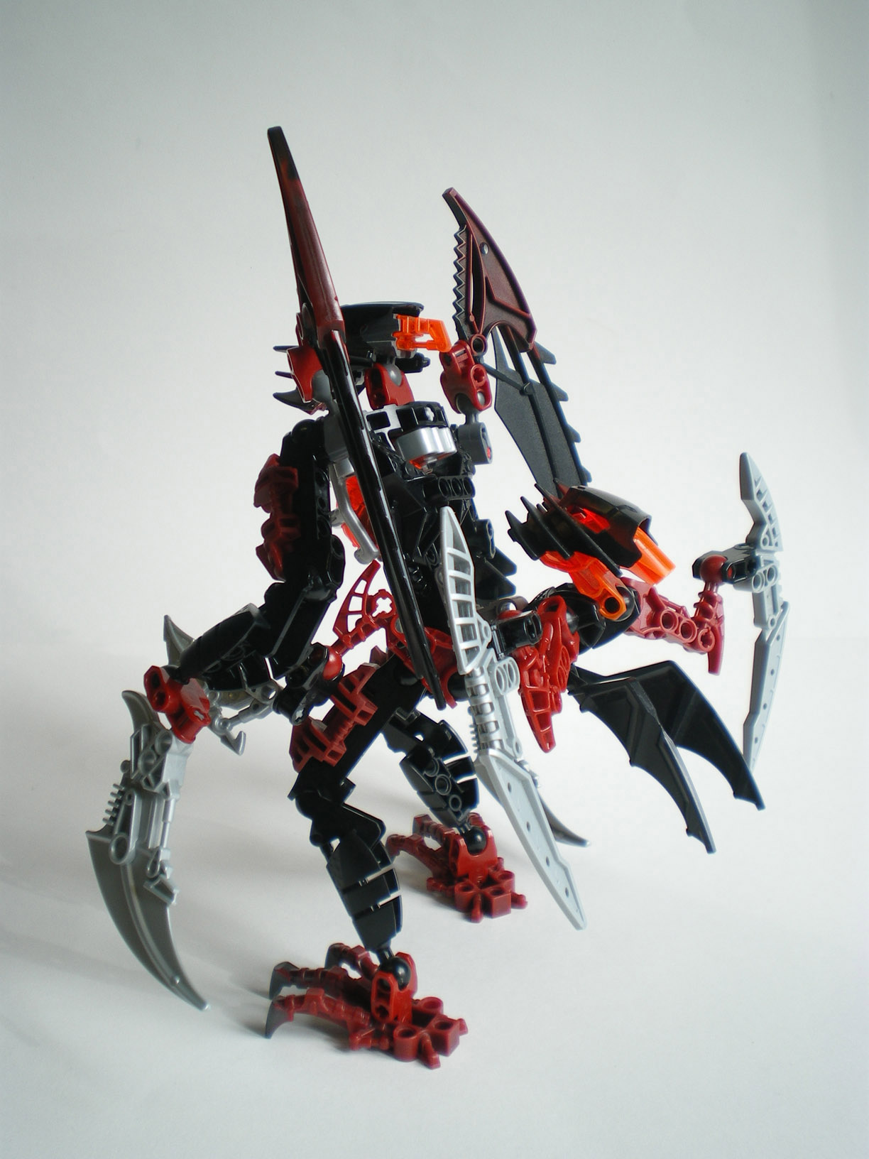 imgp6264.jpg