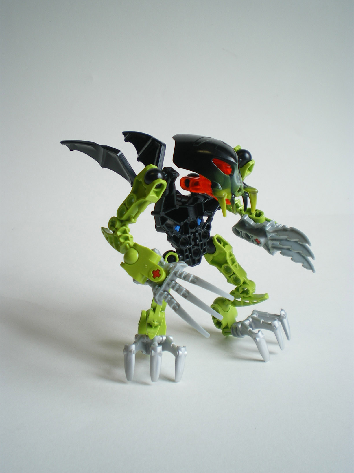 imgp6313.jpg