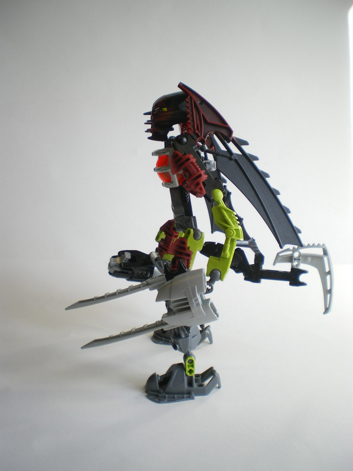 imgp9264.jpg
