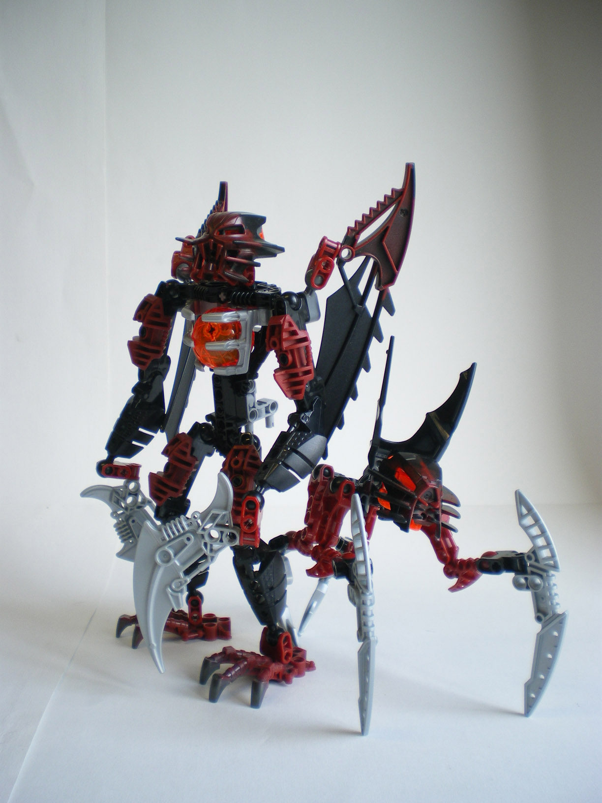 imgp7648.jpg