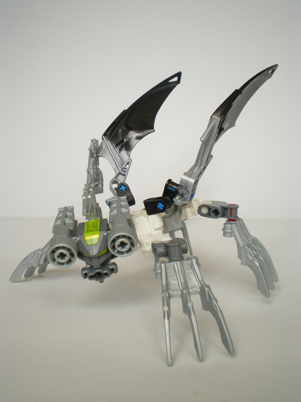 imgp4790.jpg