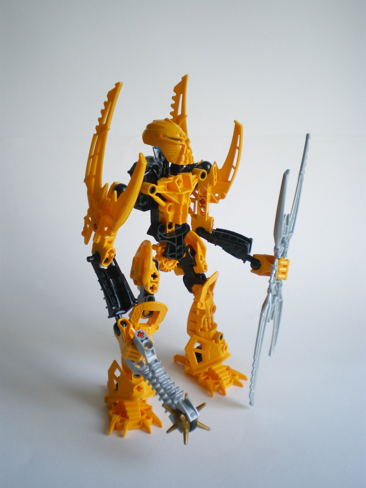 imgp8631.jpg