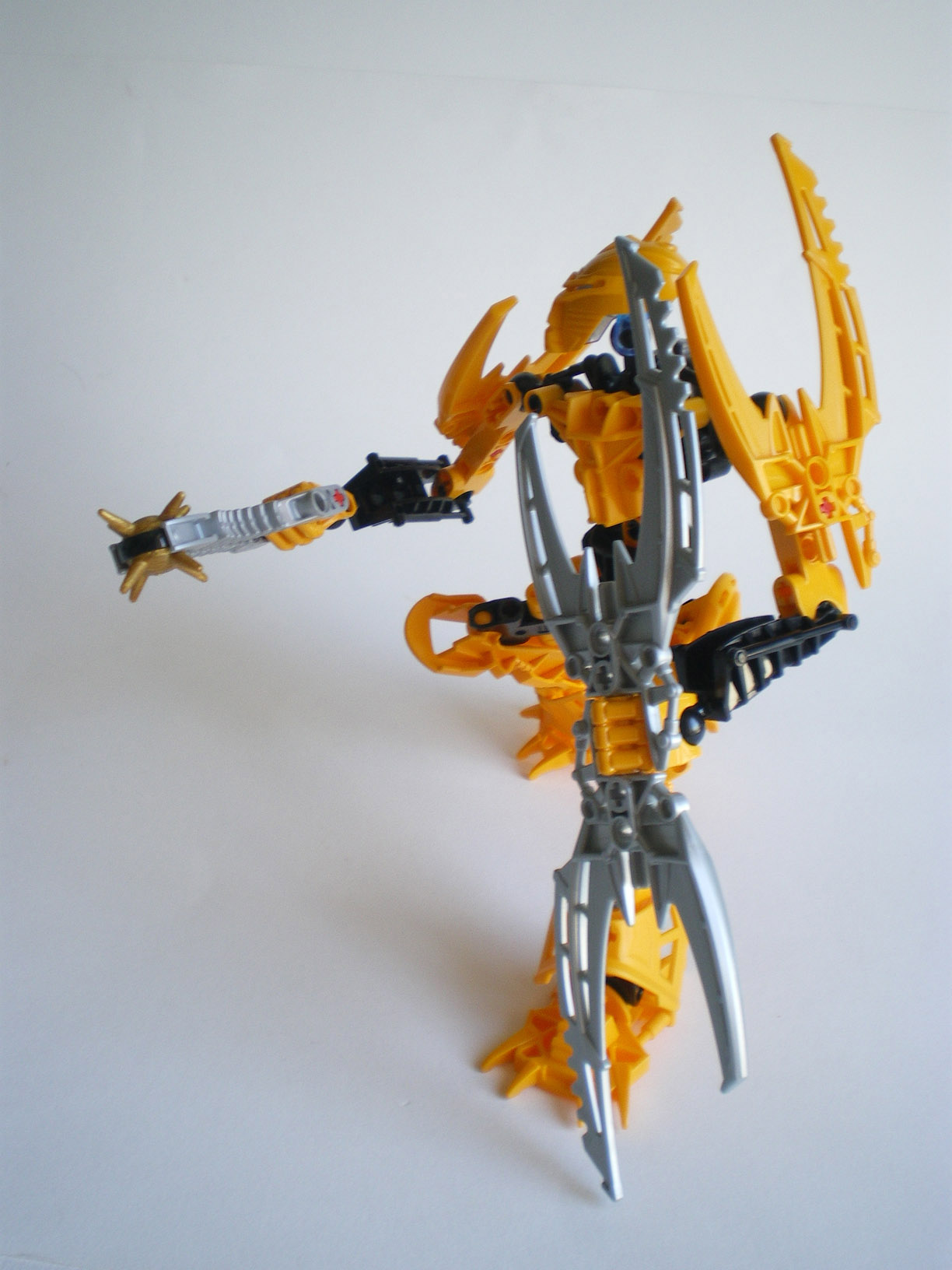 imgp8652.jpg