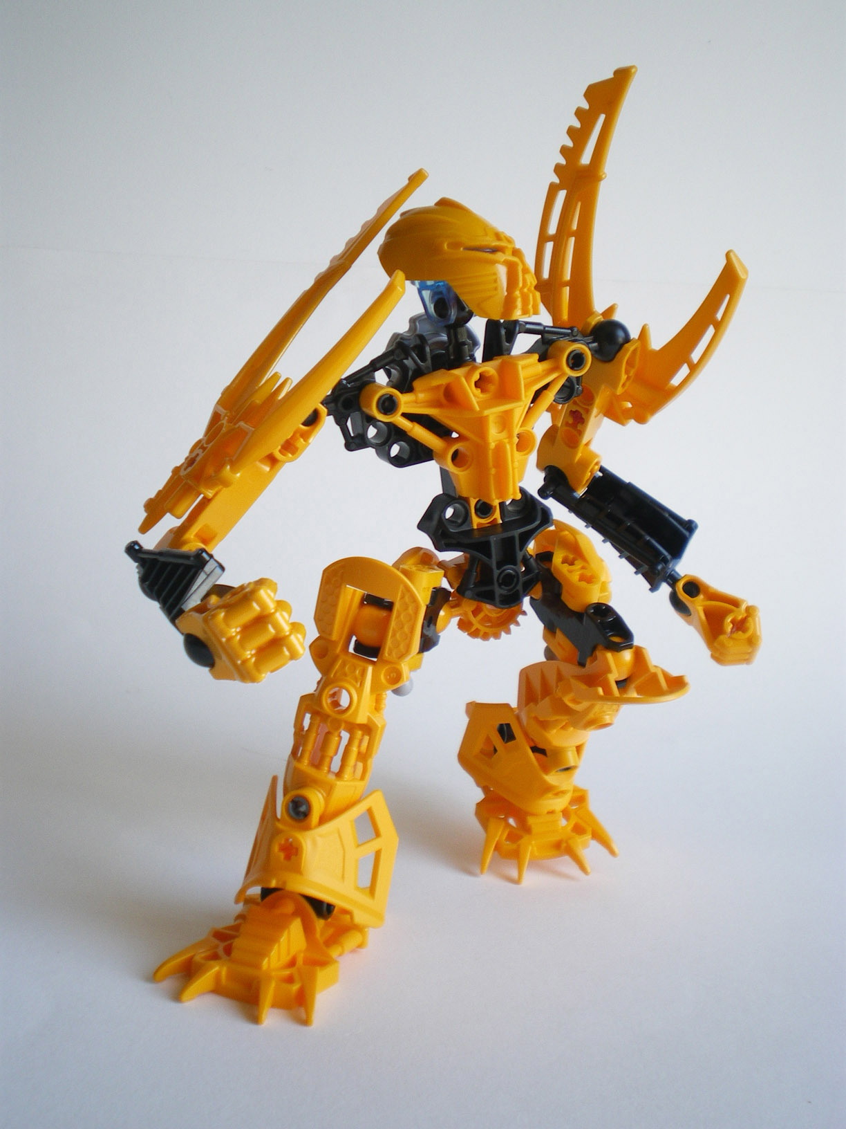 imgp8656.jpg