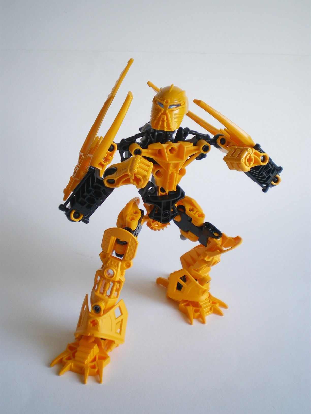 imgp8664.jpg