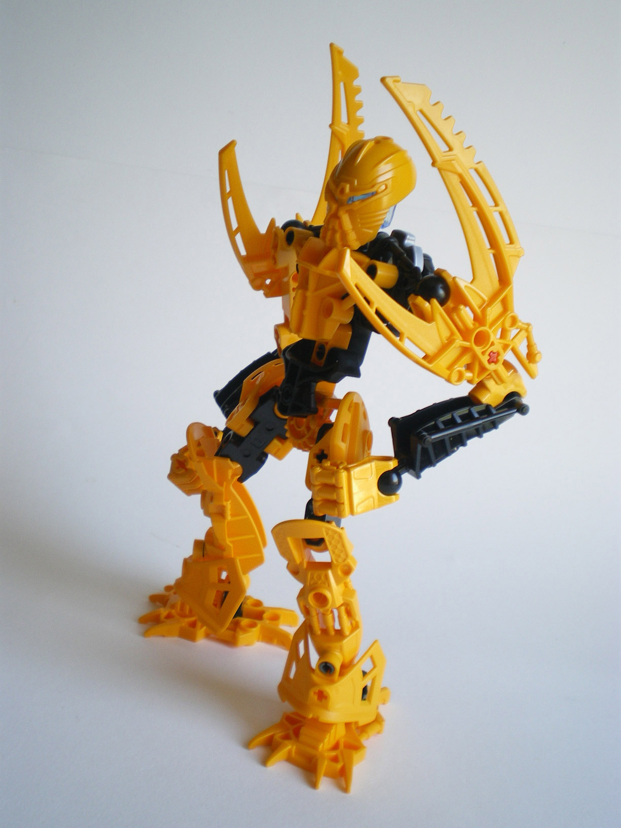 imgp8668.jpg