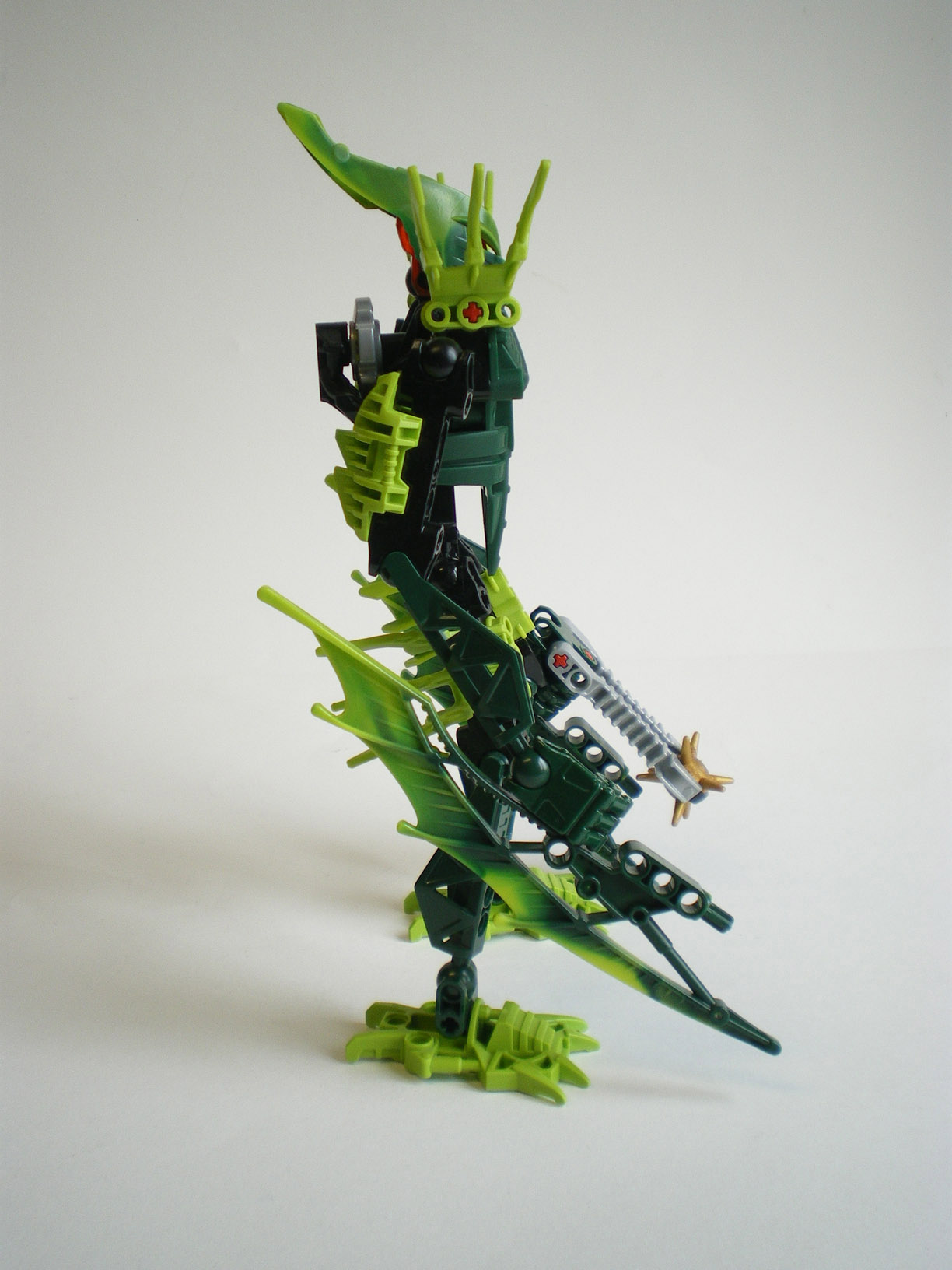imgp6694.jpg