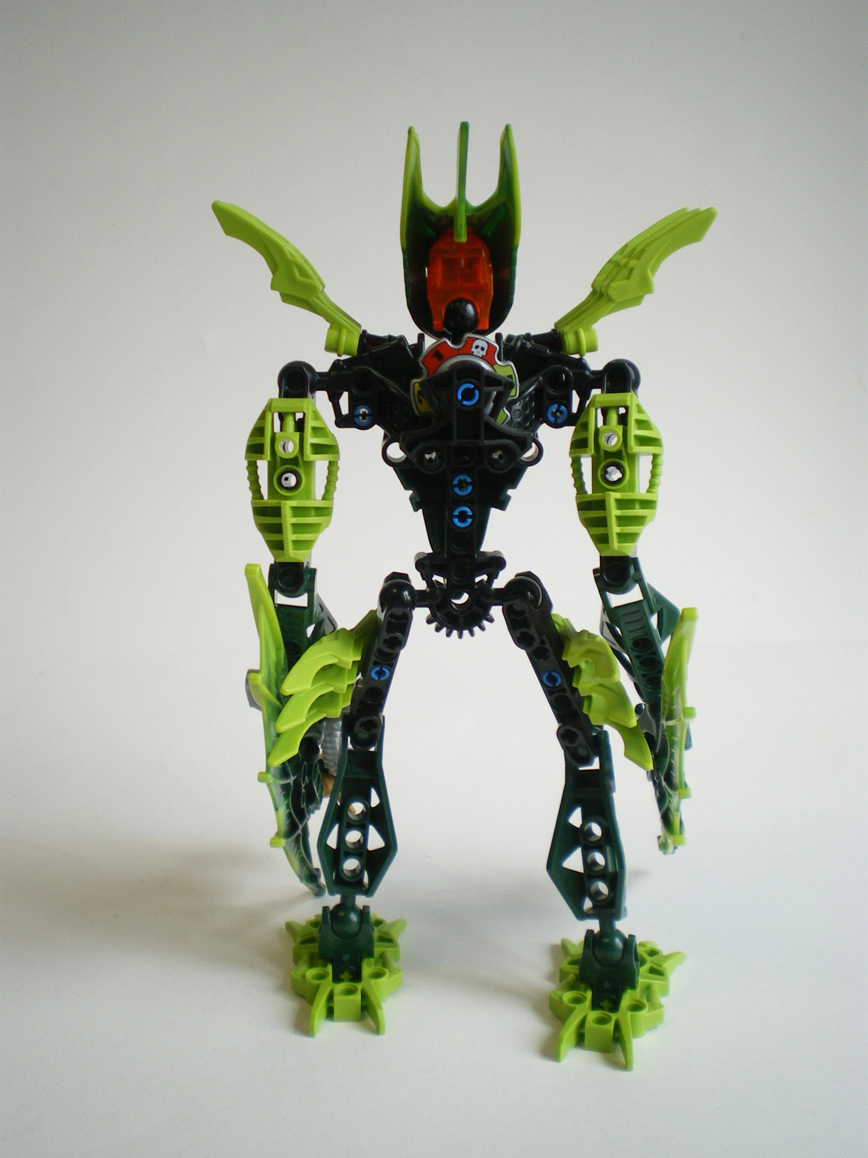 imgp6696.jpg