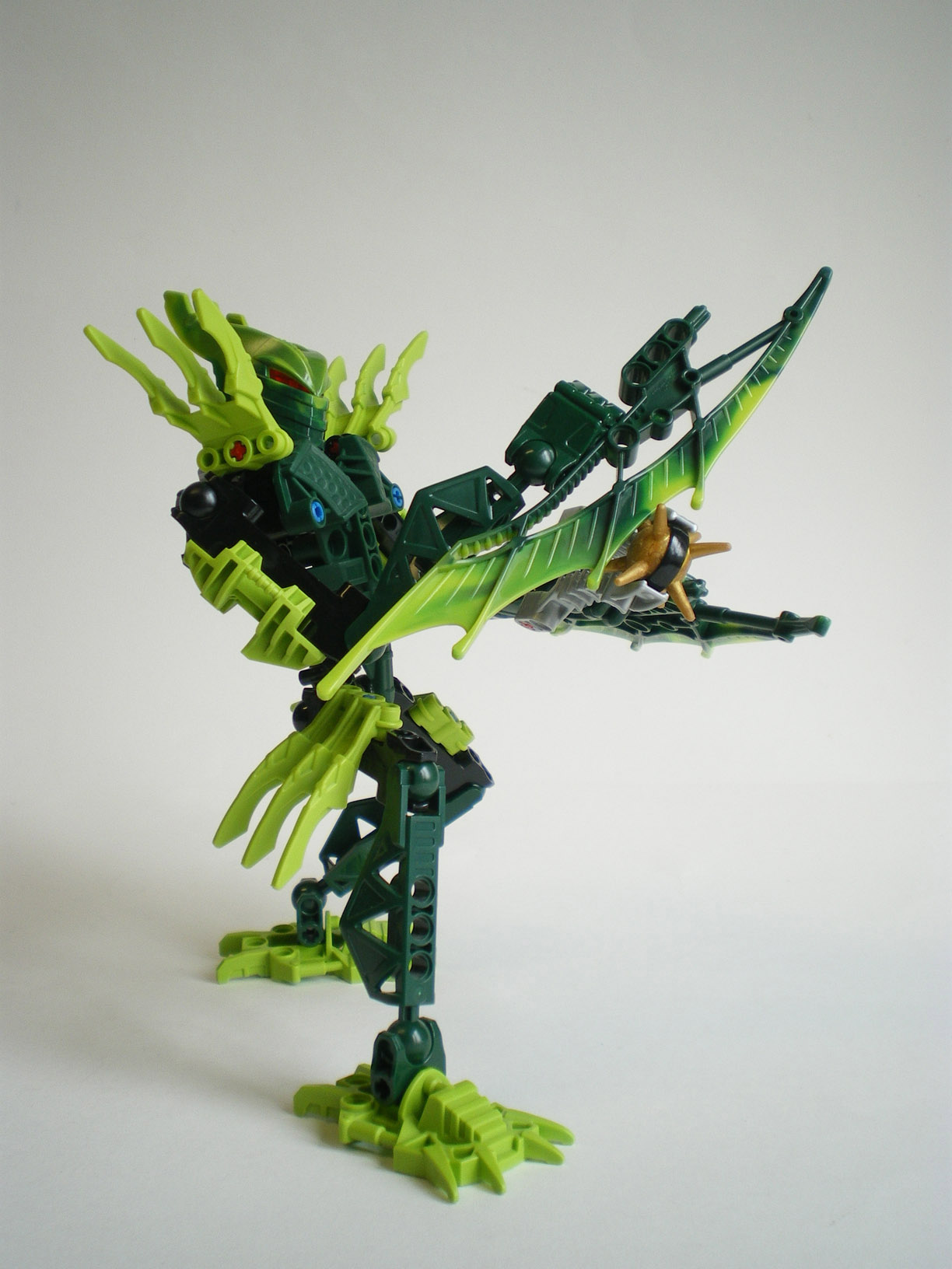 imgp6707.jpg