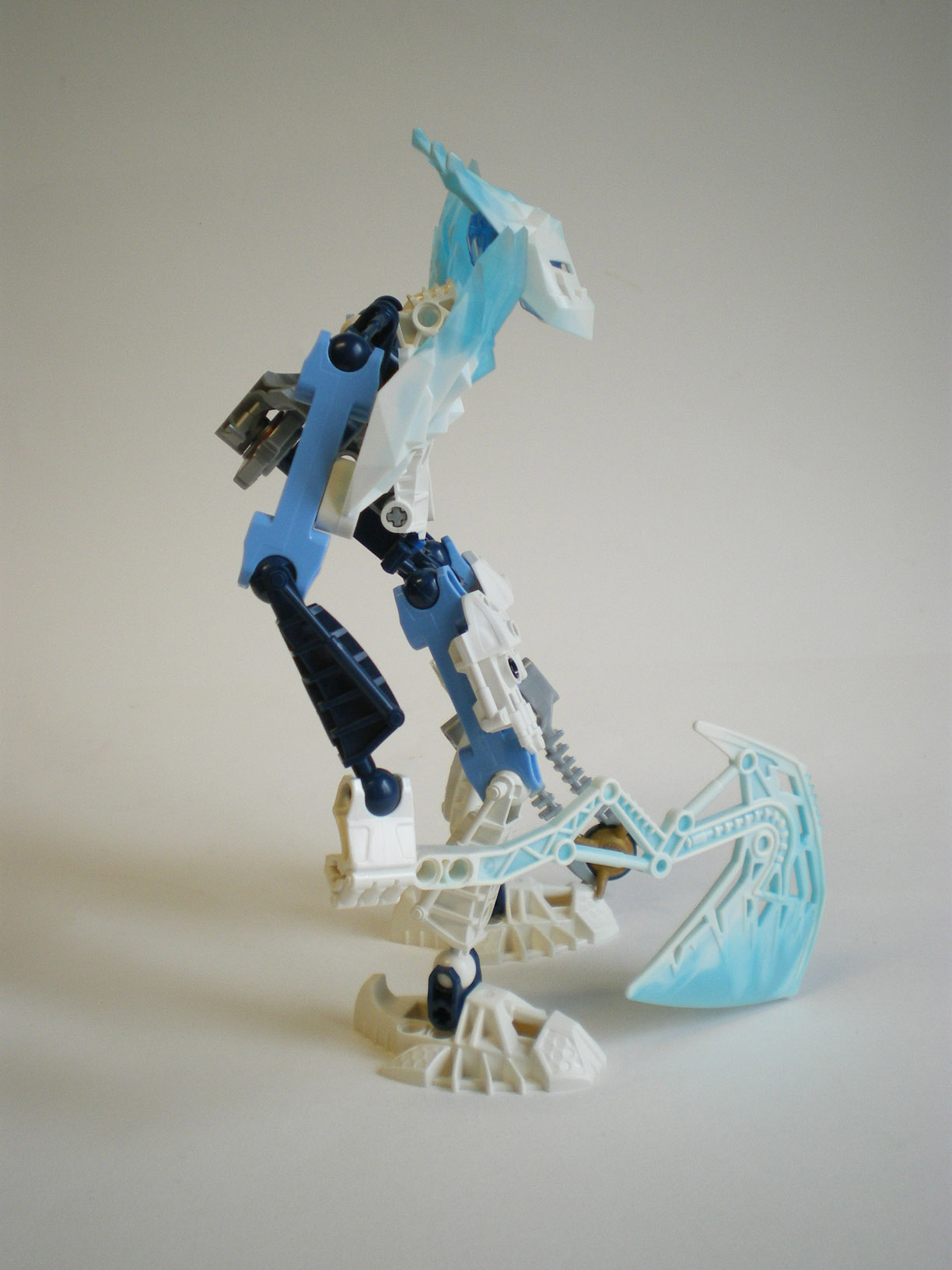 imgp6728.jpg