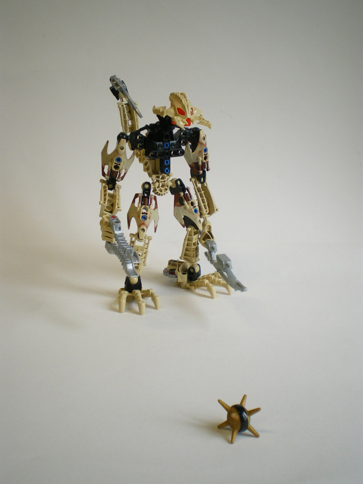 imgp6766.jpg