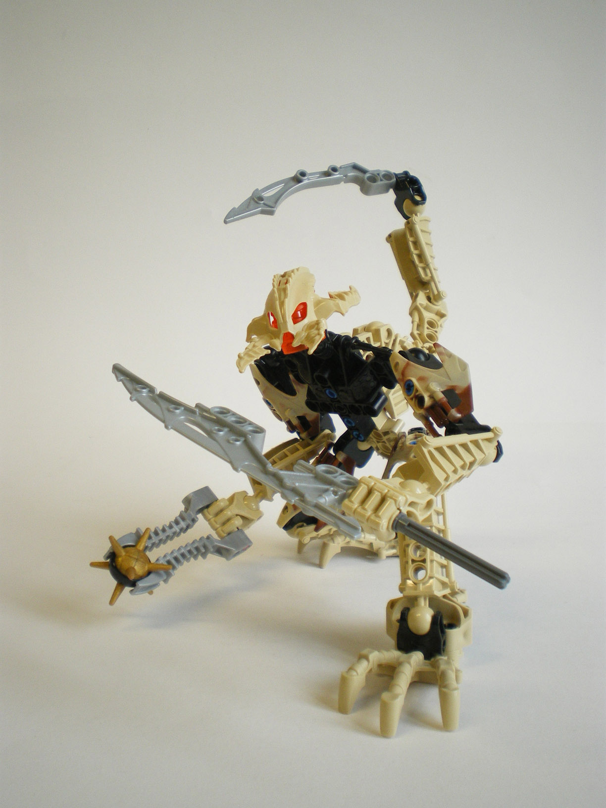 imgp6767.jpg