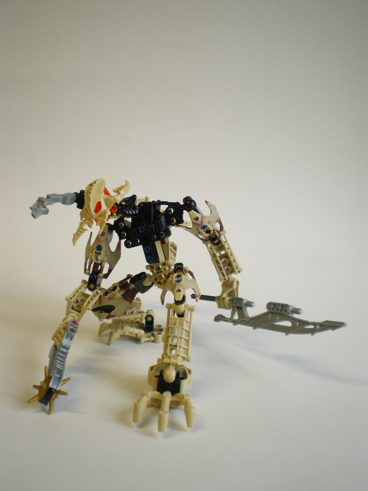 imgp6771.jpg