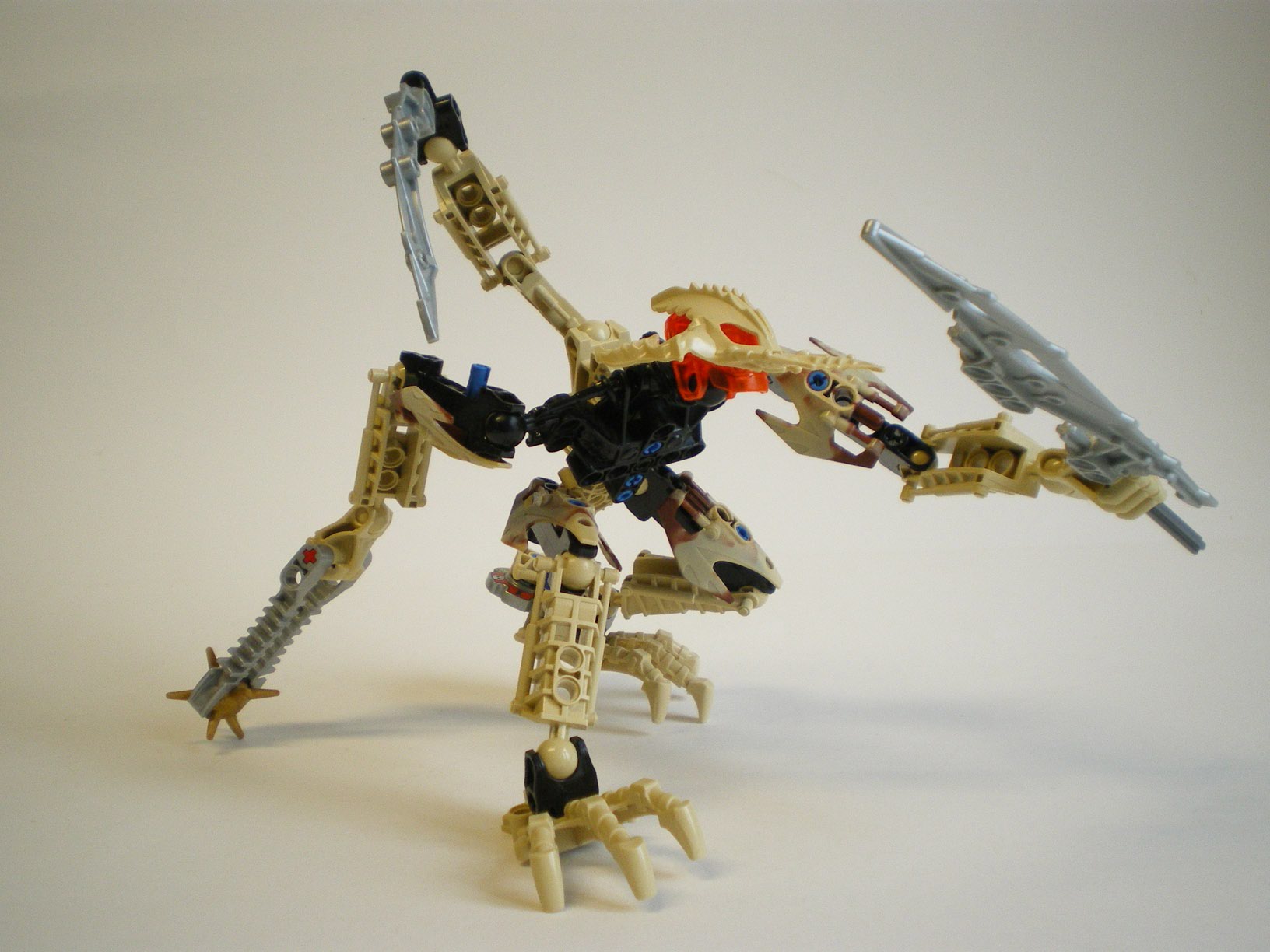 imgp6774.jpg