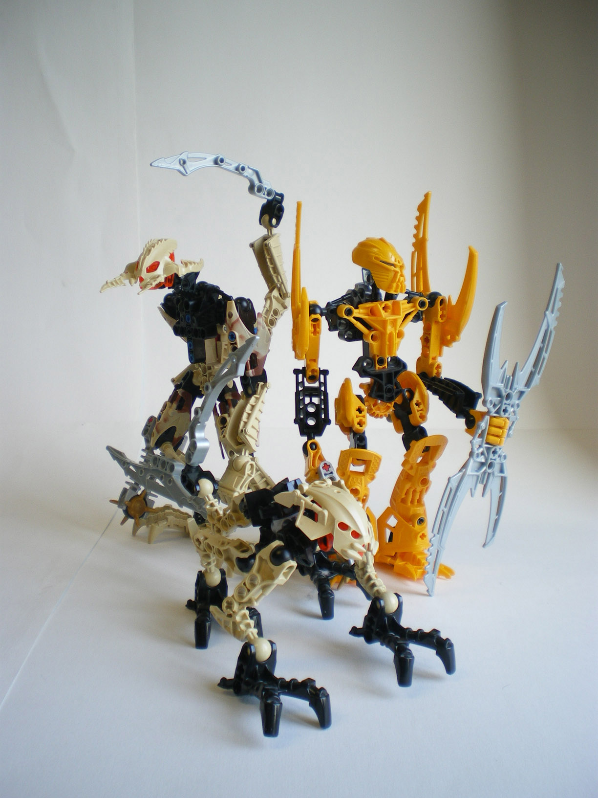 imgp7669.jpg