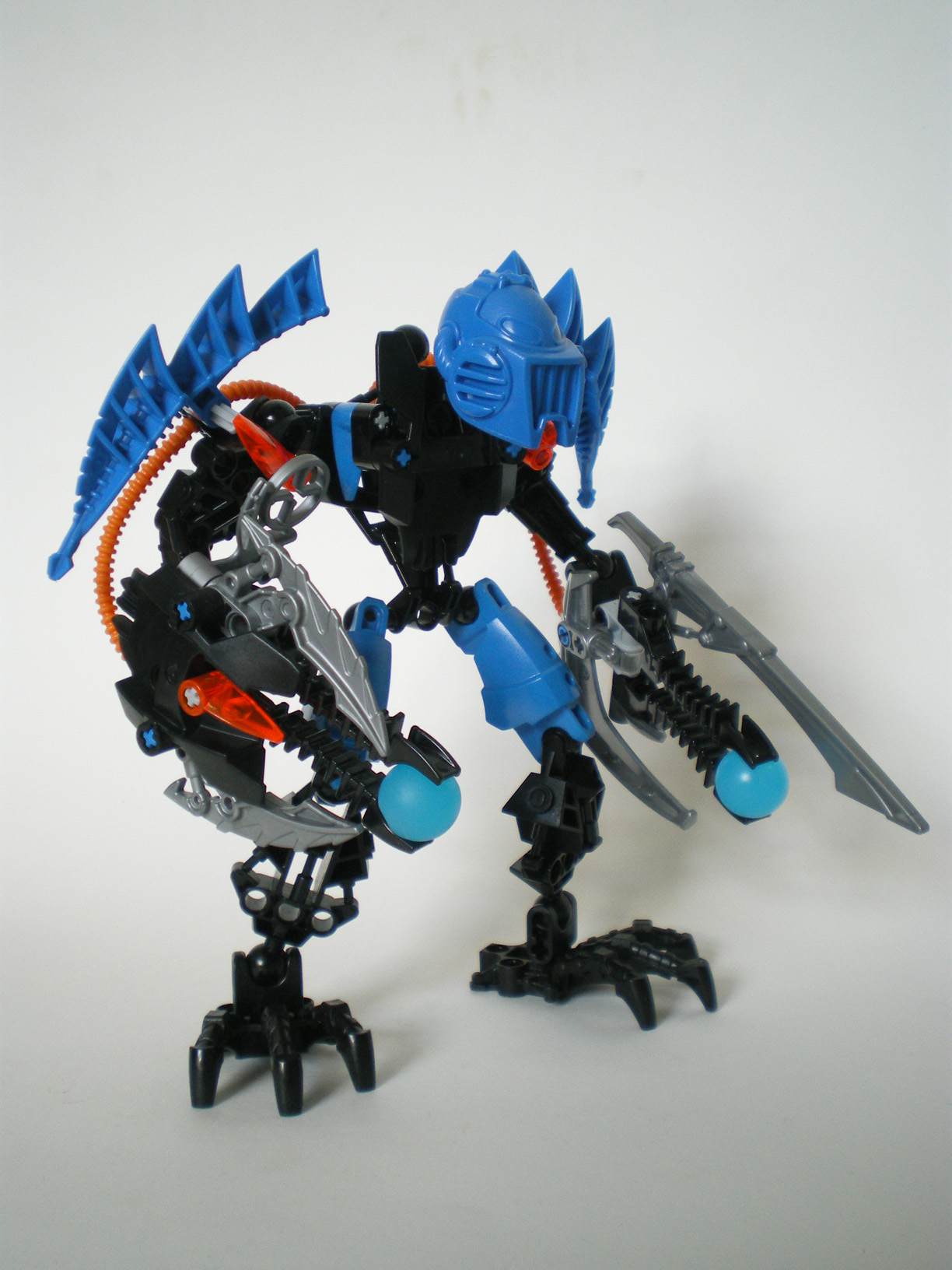 imgp3503.jpg