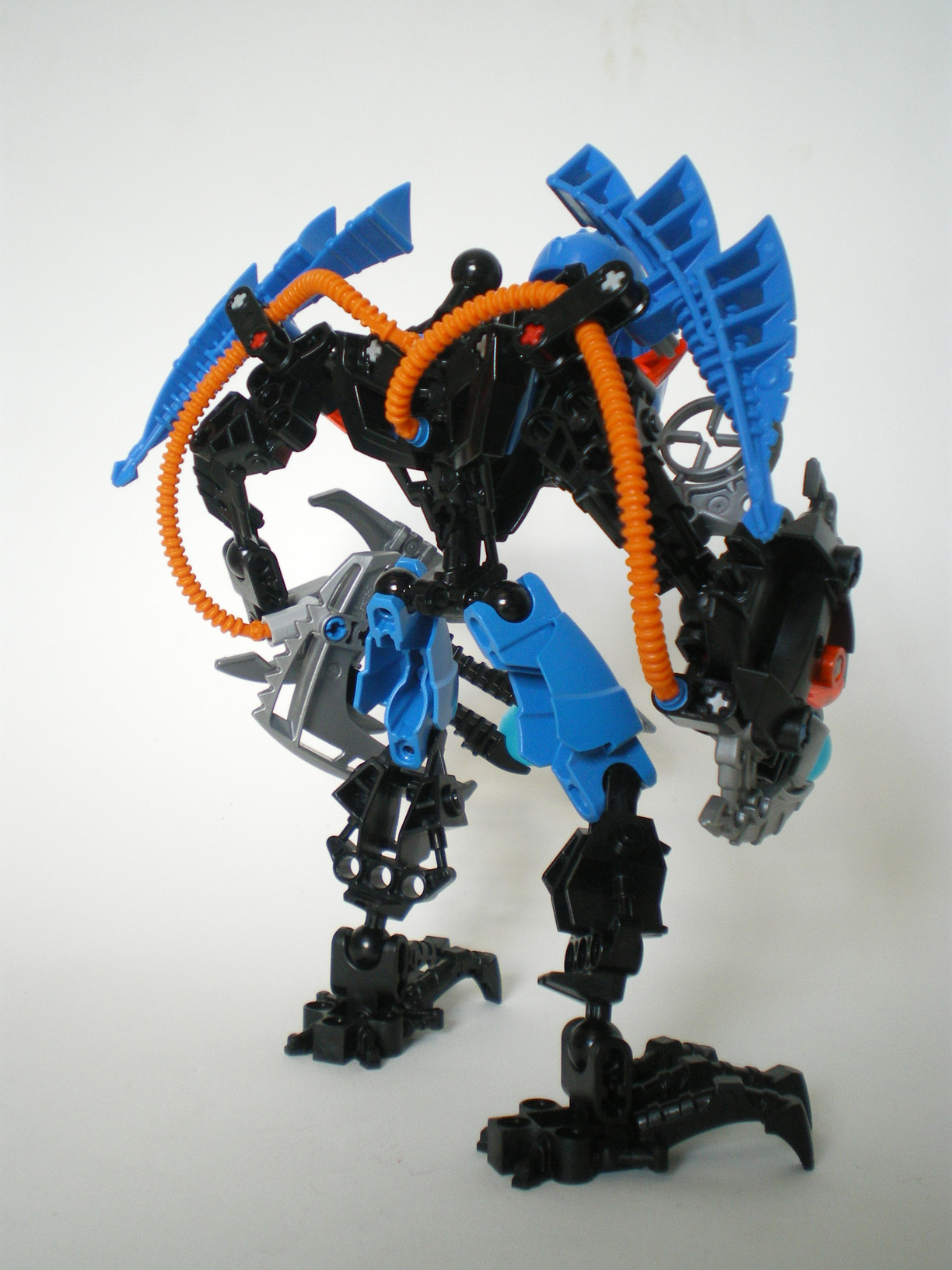 imgp3506.jpg