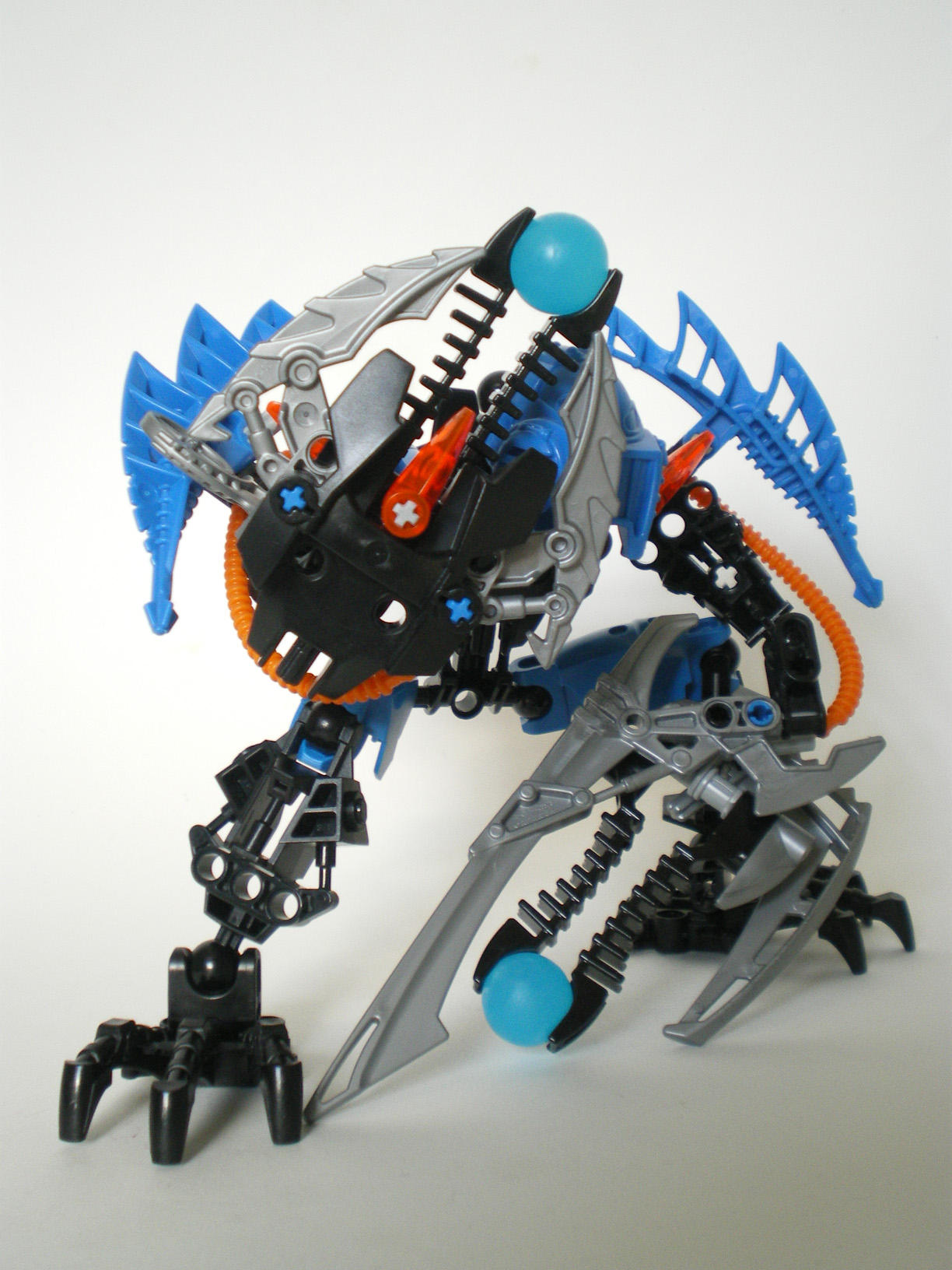 imgp3528.jpg