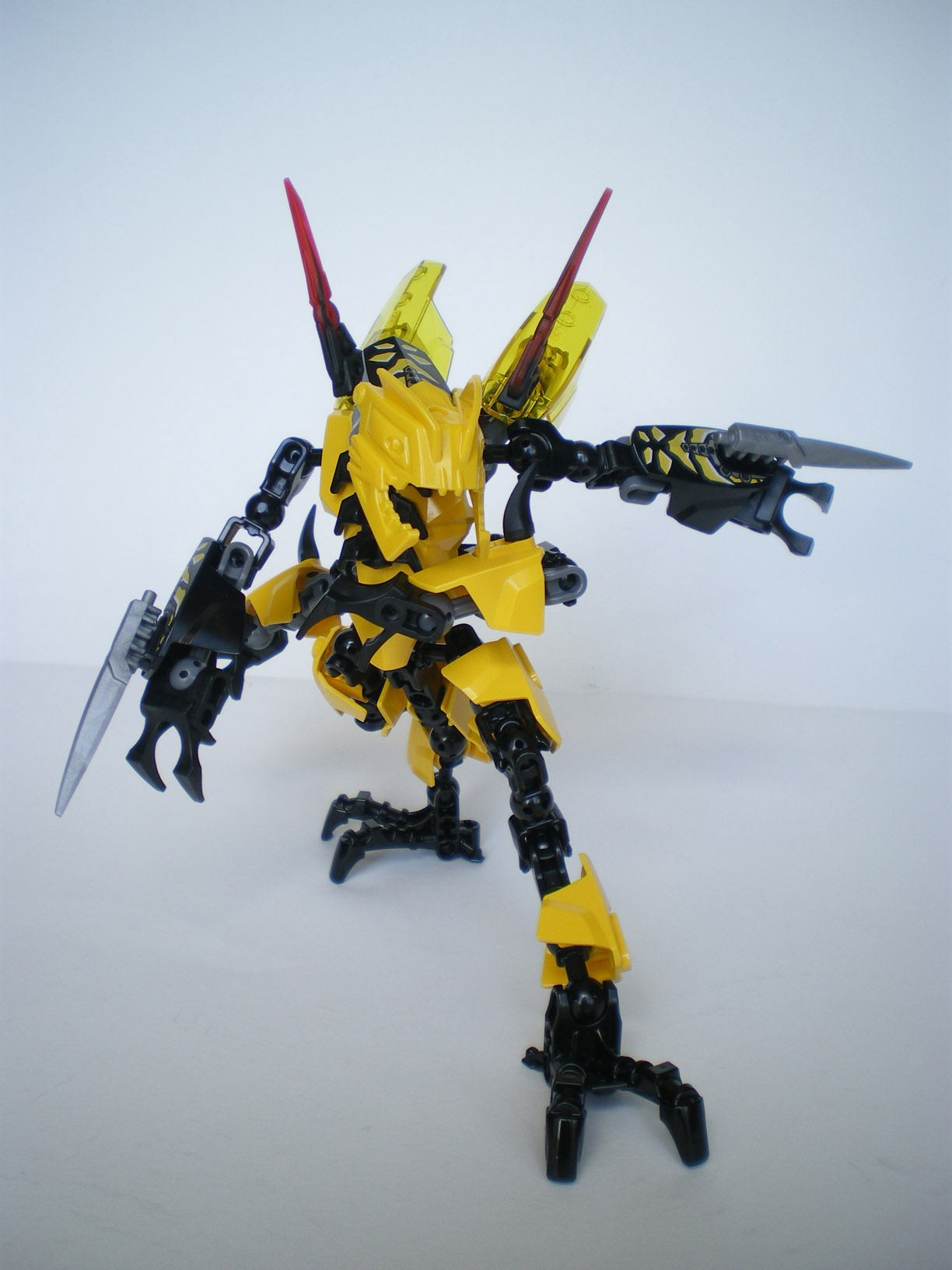 imgp4290.jpg