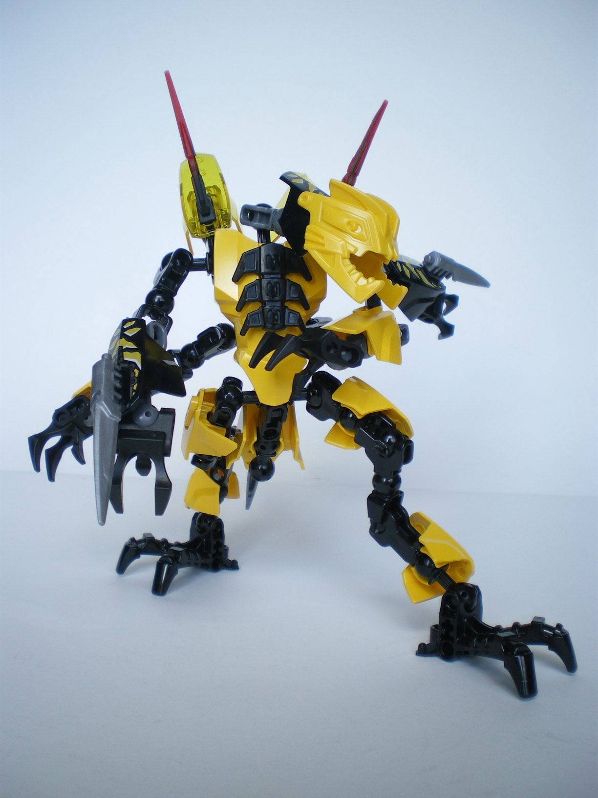 imgp4292.jpg