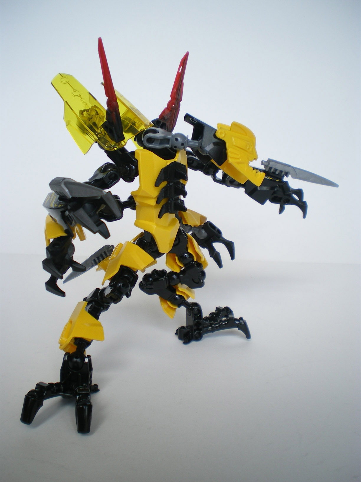 imgp4305.jpg