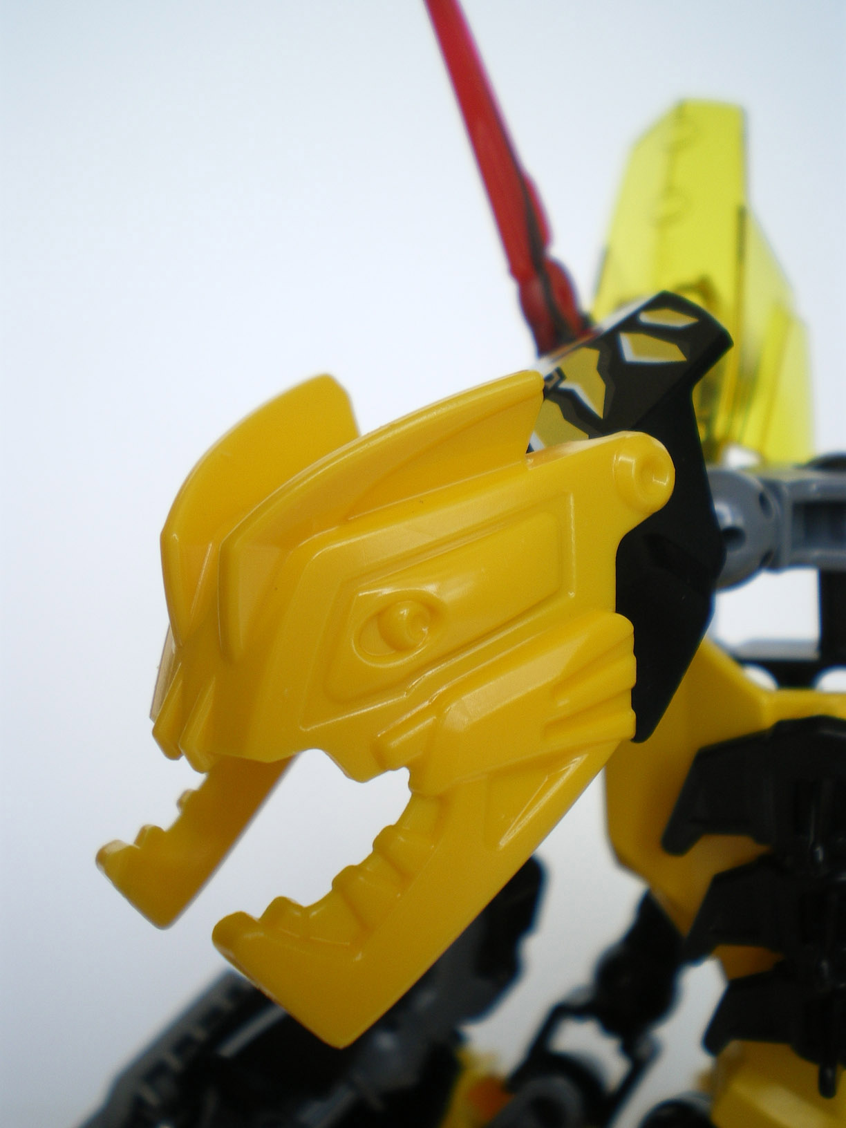 imgp4311.jpg