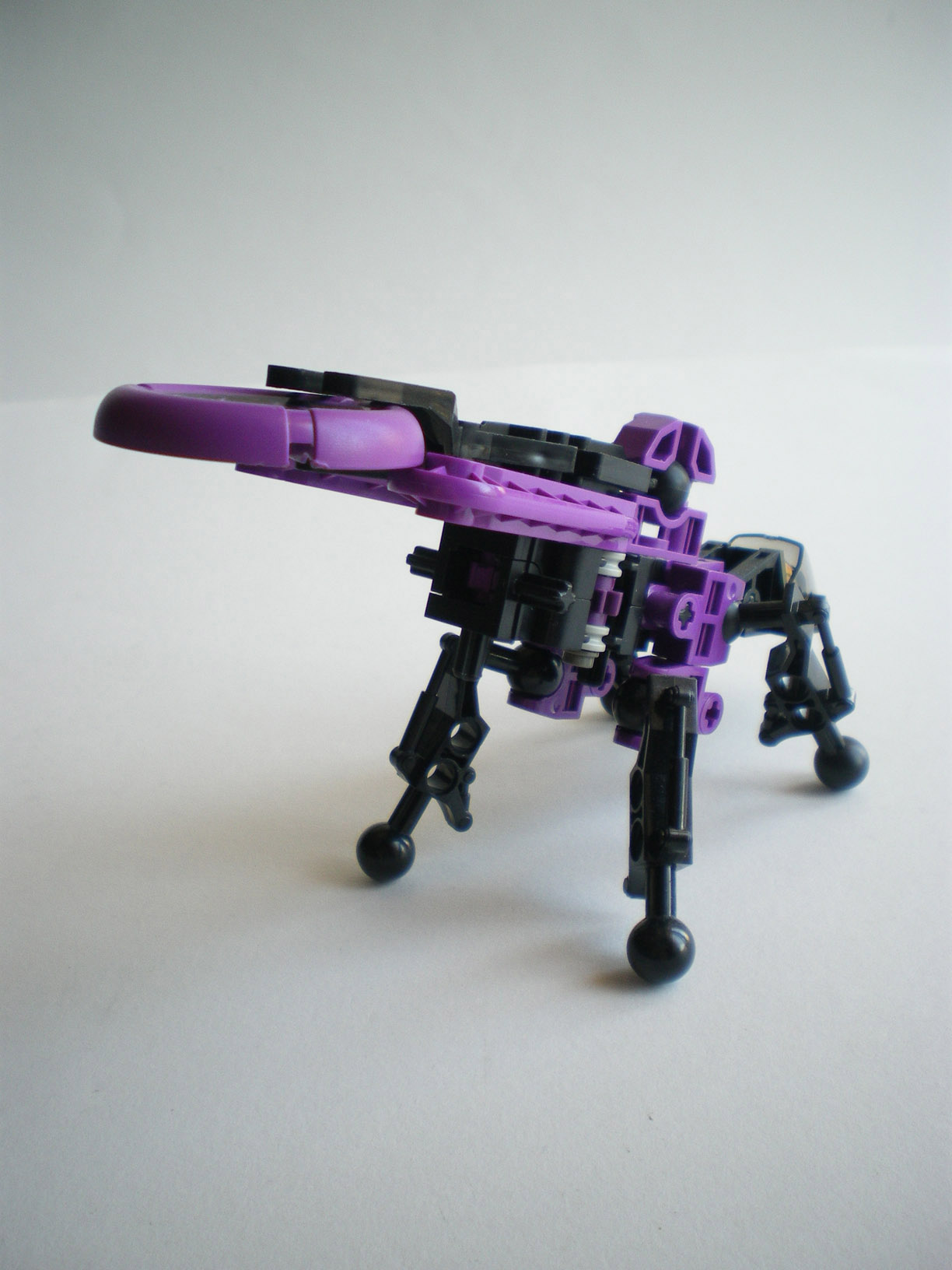 imgp0700.jpg