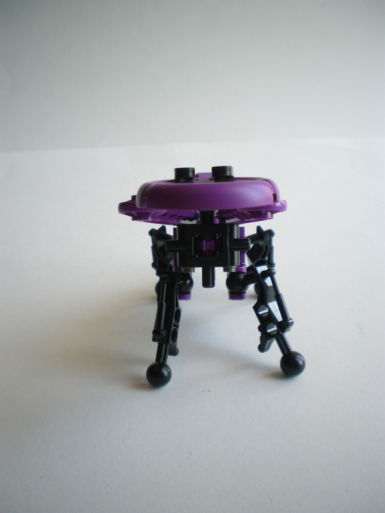imgp0701.jpg
