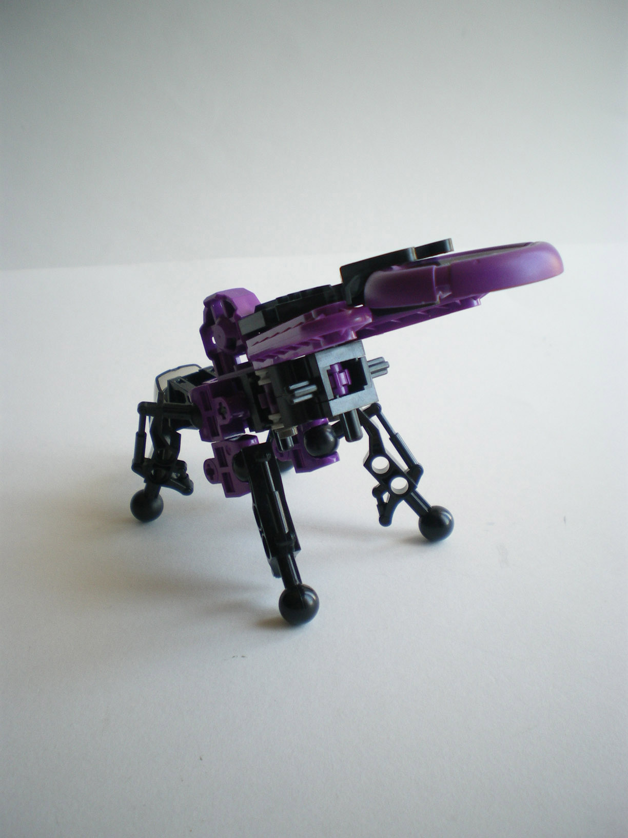 imgp0702.jpg