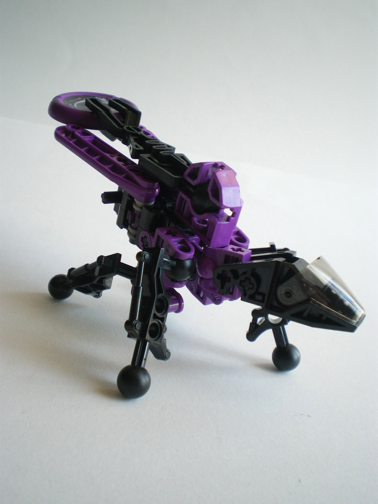 imgp0710.jpg