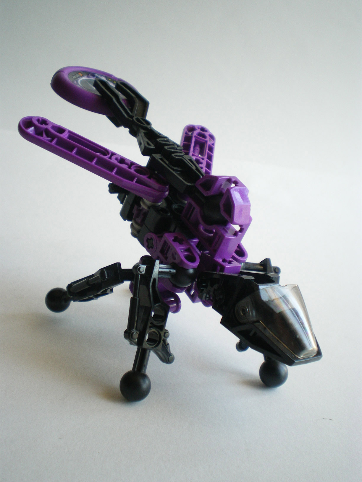imgp0716.jpg