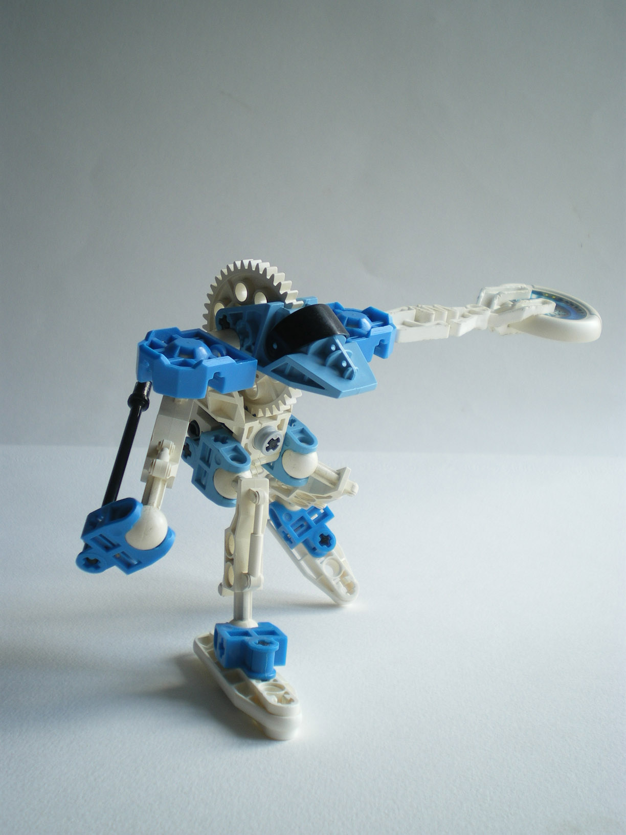 imgp0517.jpg