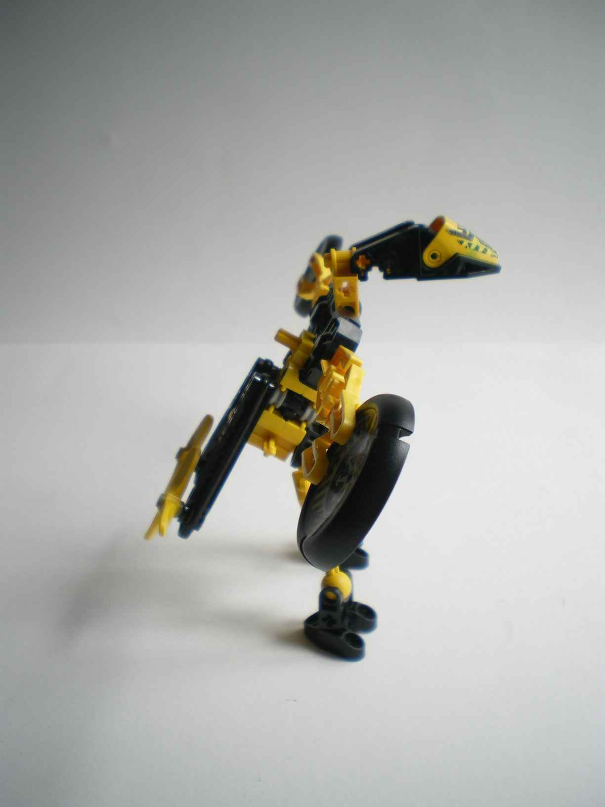 imgp0870.jpg
