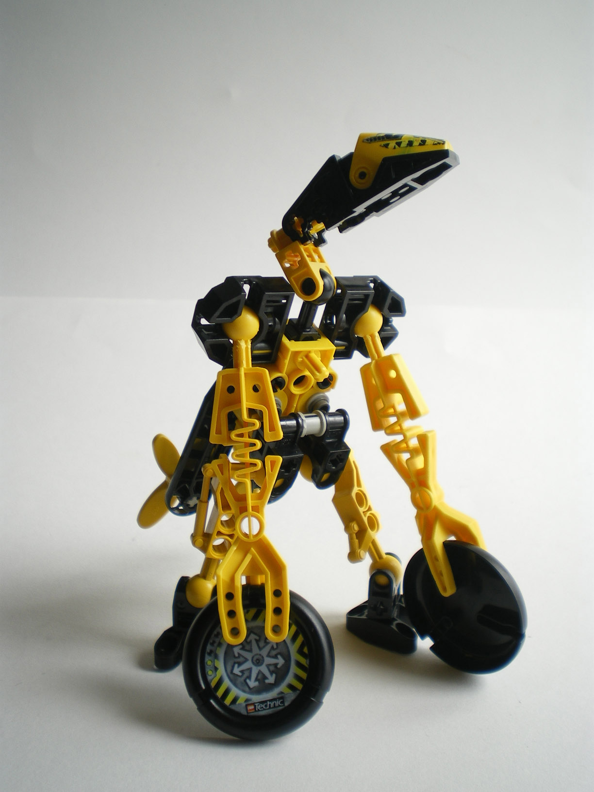 imgp0890.jpg