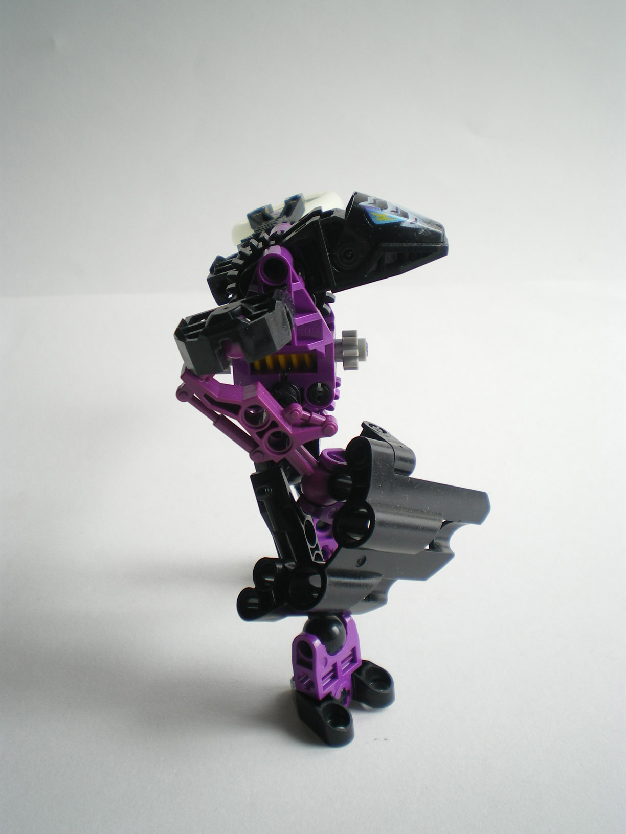 imgp0899.jpg