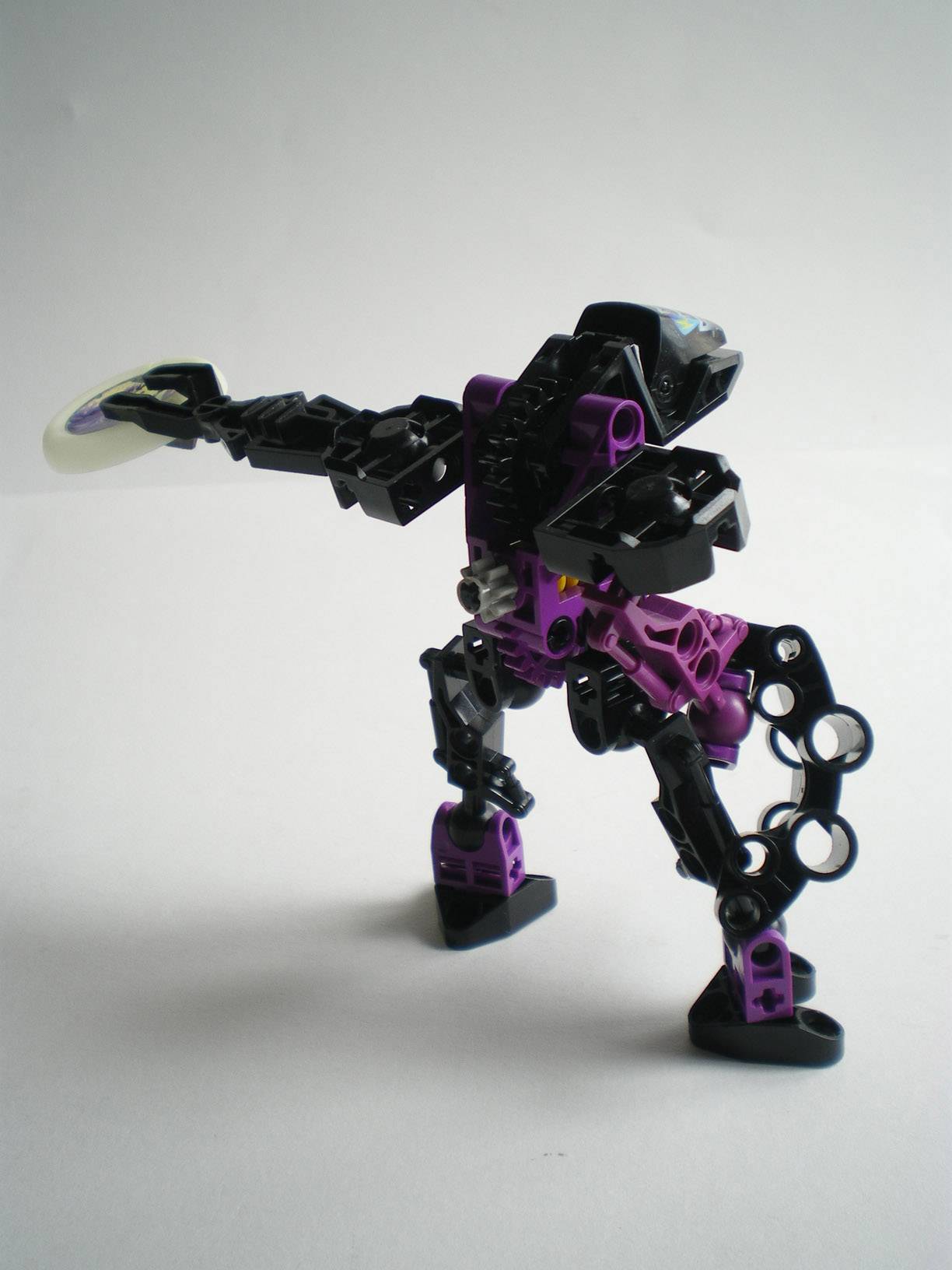 imgp0900.jpg