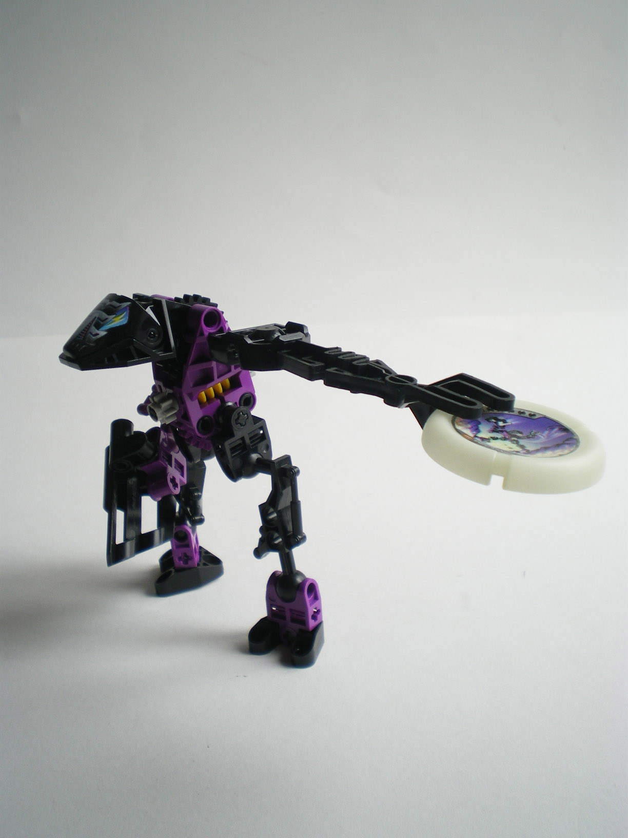 imgp0904.jpg